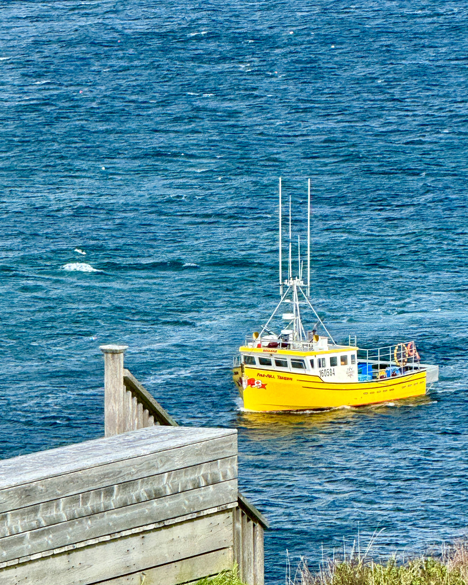 seasky-cottage_cabin_Nova-Scotia-canada_exterior-boat.jpg