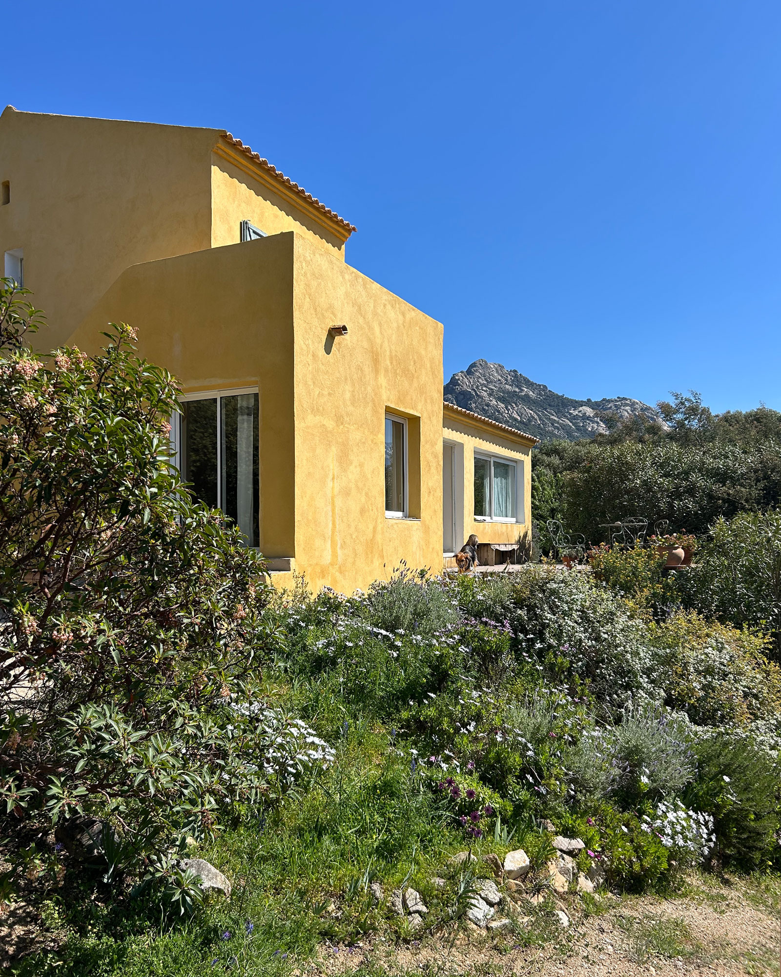 villa-flore_house_corsica-france_exterior.jpg