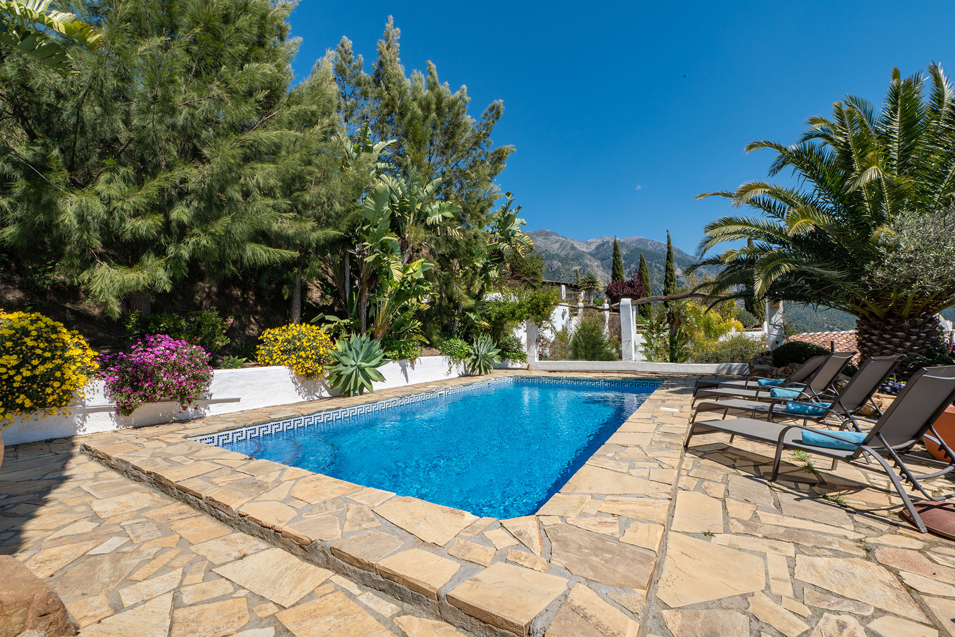 el-pabellon-de-caza_villa_andalusia-spain_exterior-pool-design-space.jpg