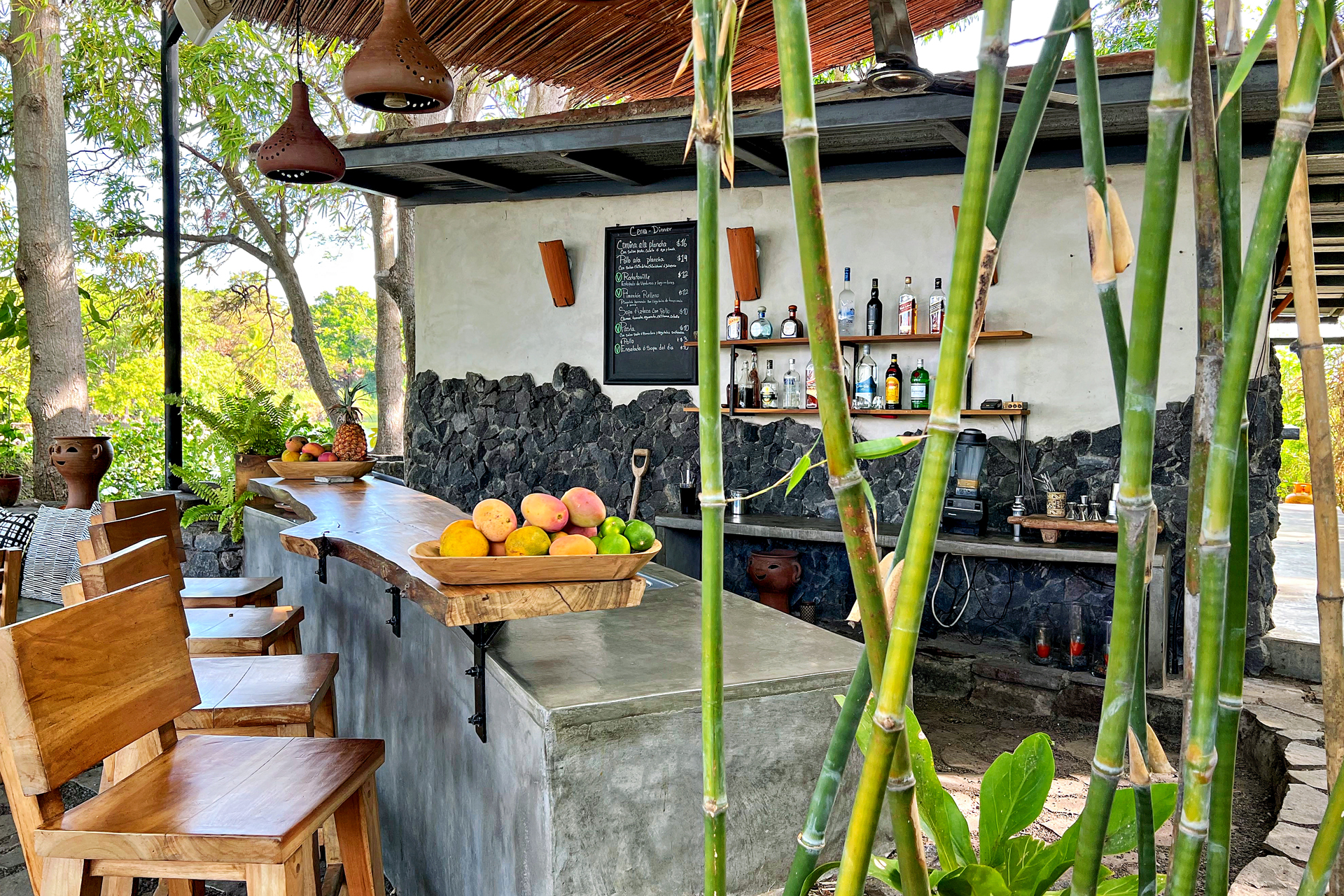 isleta-el-espino_estate_granada-nicaragua_common-areas-exterior-fruit.jpg