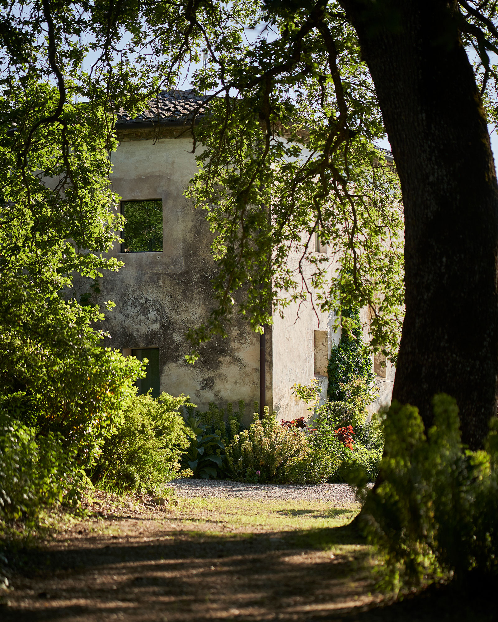casale-di-cellole_farmhouse_tuscany-italy_exterior-facade-tree.jpg