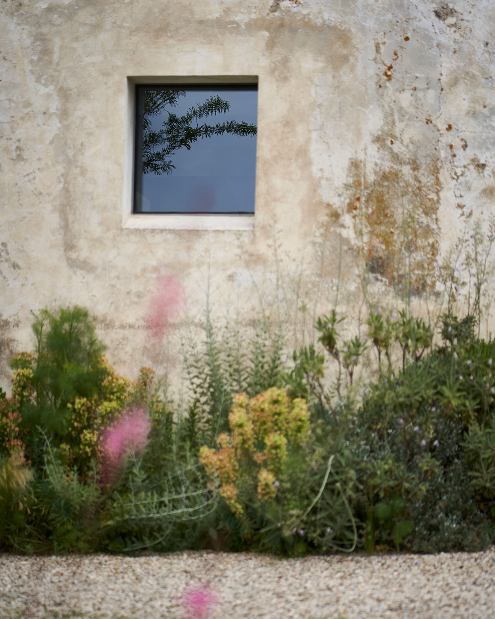 casale-di-cellole_farmhouse_tuscany-italy_exterior-window-detail.jpg
