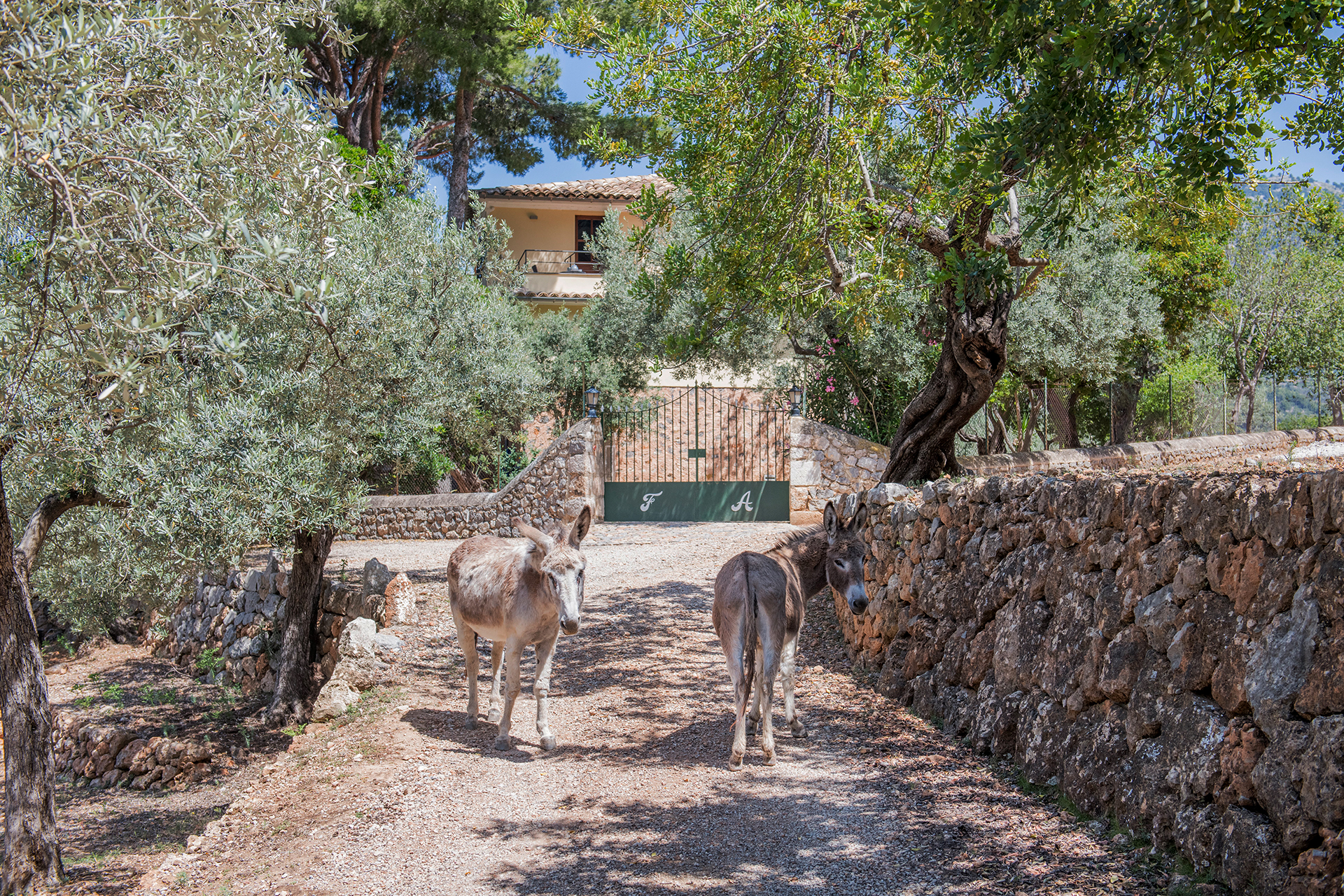 casa-soller_estate_Illes-Balears-spain_exterior-entrance.jpg