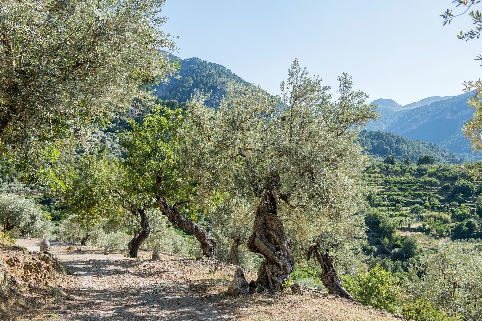 casa-soller_estate_Illes-Balears-spain_exterior-view-design.jpg