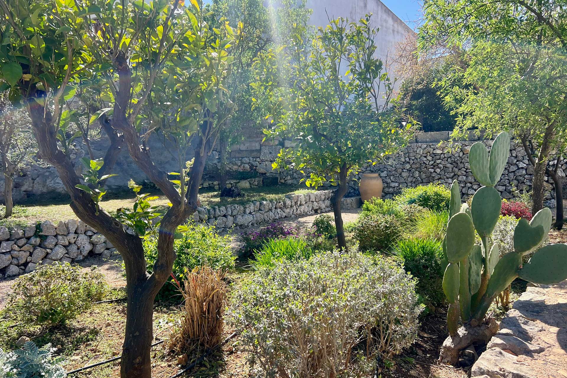 la-torre-bianca_villa_puglia-italy_exterior-garden.jpg