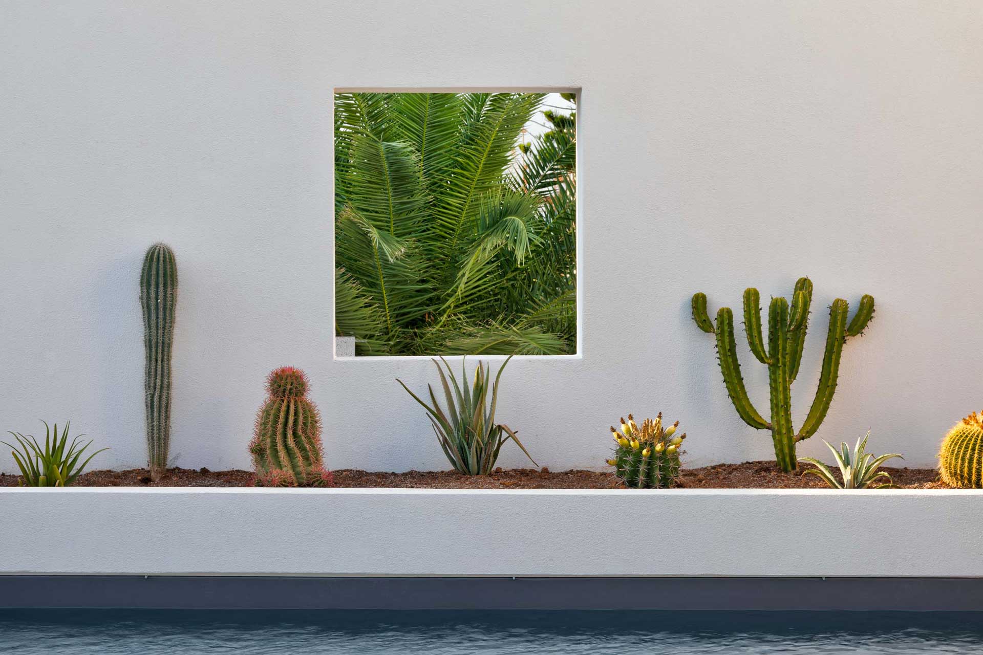 la-torre-bianca_villa_puglia-italy_exterior-pool-detail.jpg