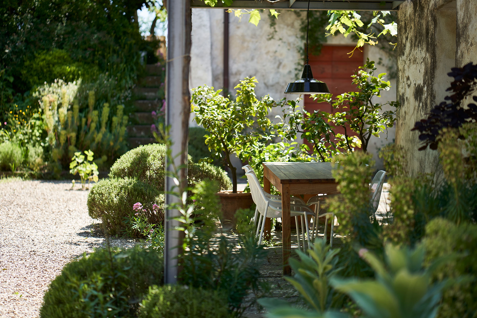 casale-di-cellole_farmhouse_tuscany-italy_zoo-exterior.jpg