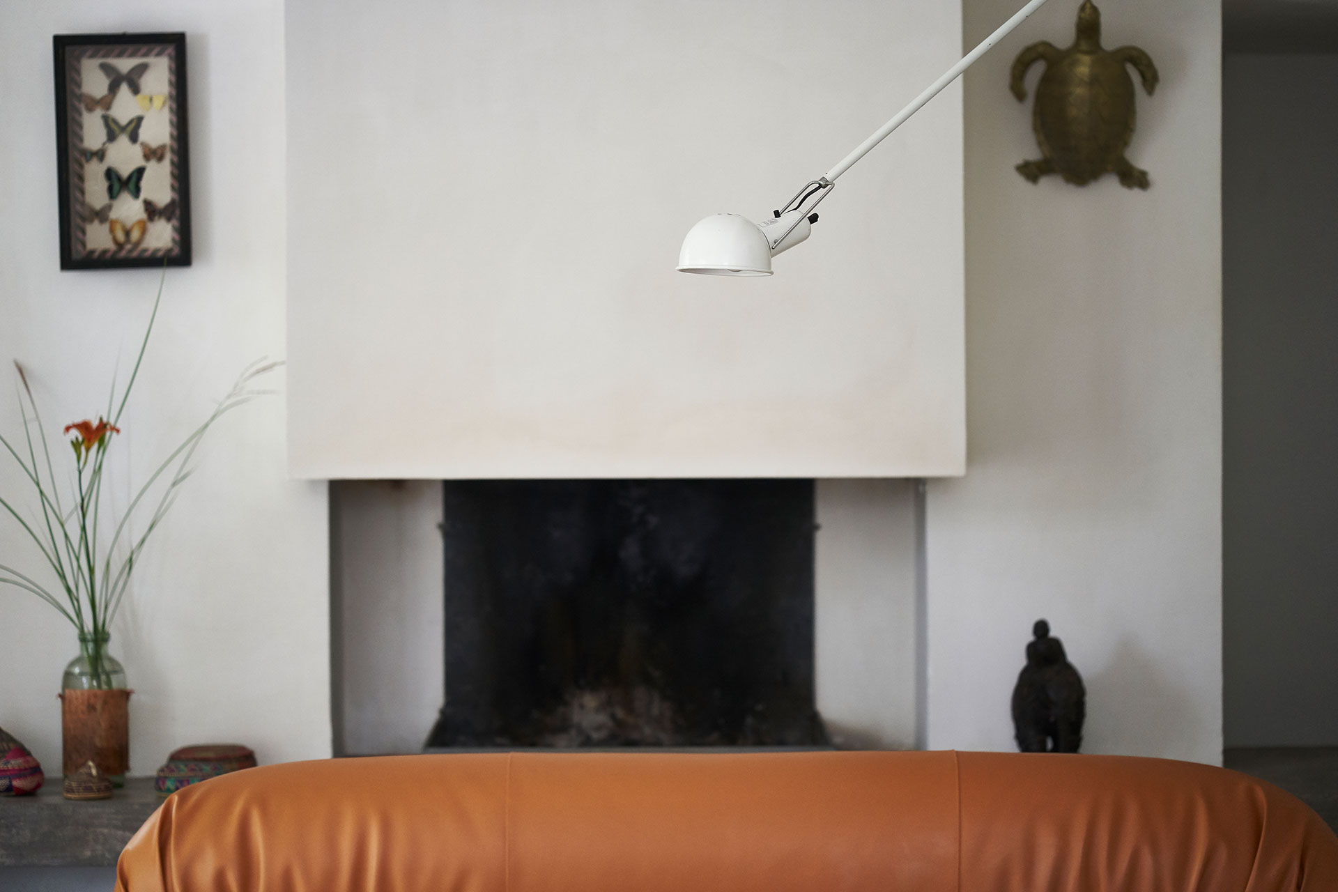 casale-di-cellole_farmhouse_tuscany-italy_zoo-interior-detail.jpg