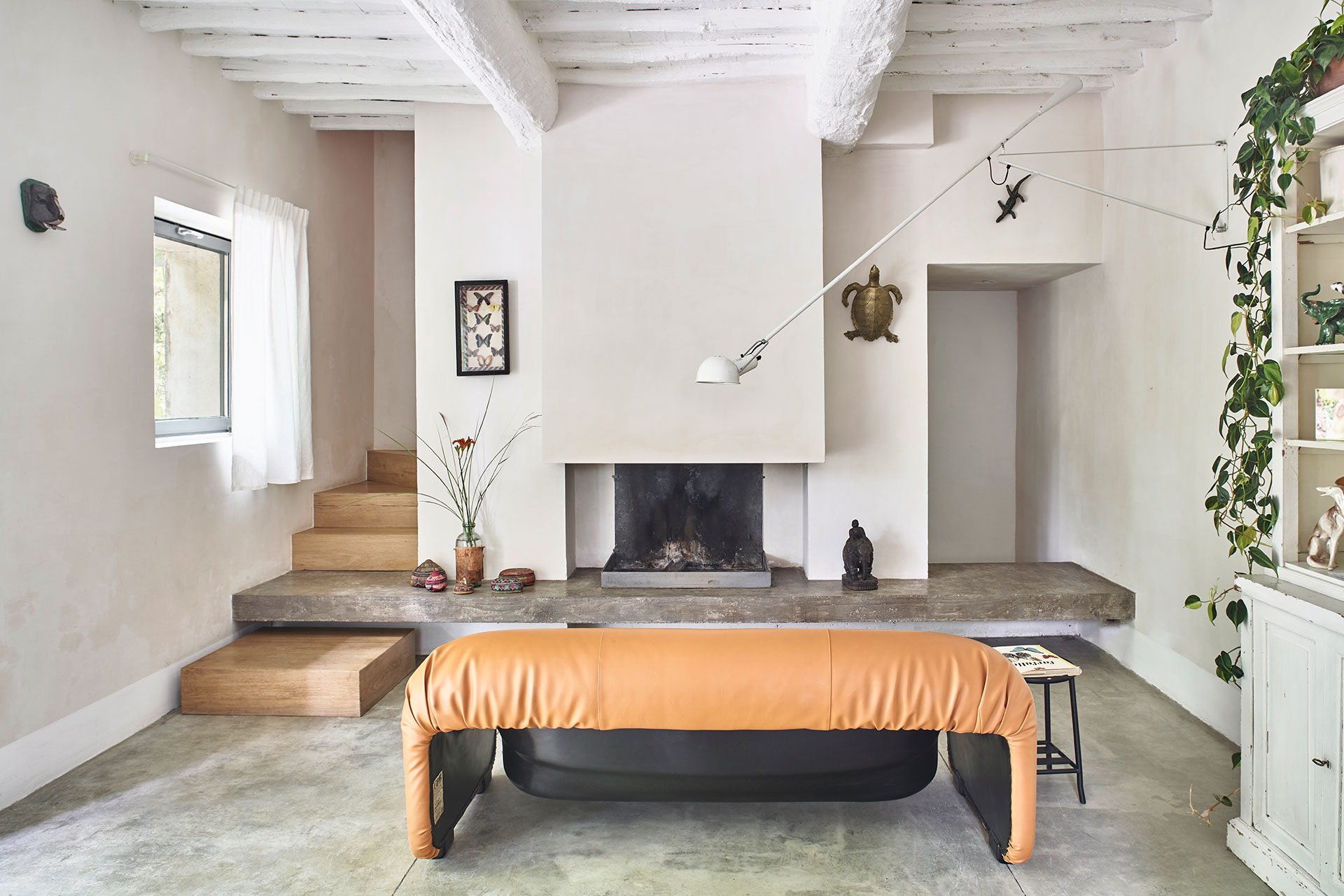 casale-di-cellole_farmhouse_tuscany-italy_zoo-interior-space.jpg