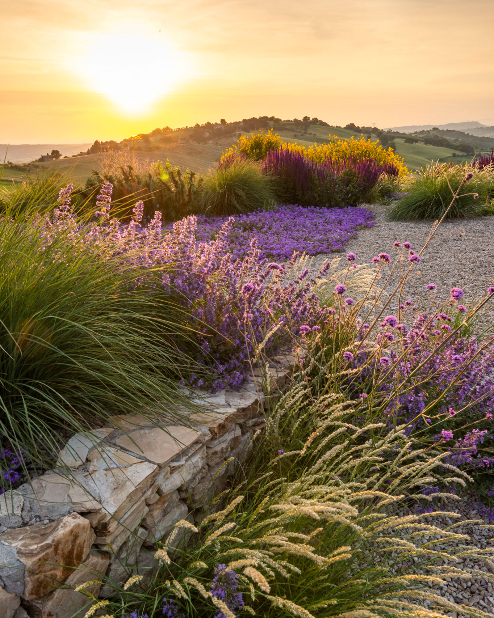 casa-tuja_house_molise-italy_exterior-sun-set.jpg