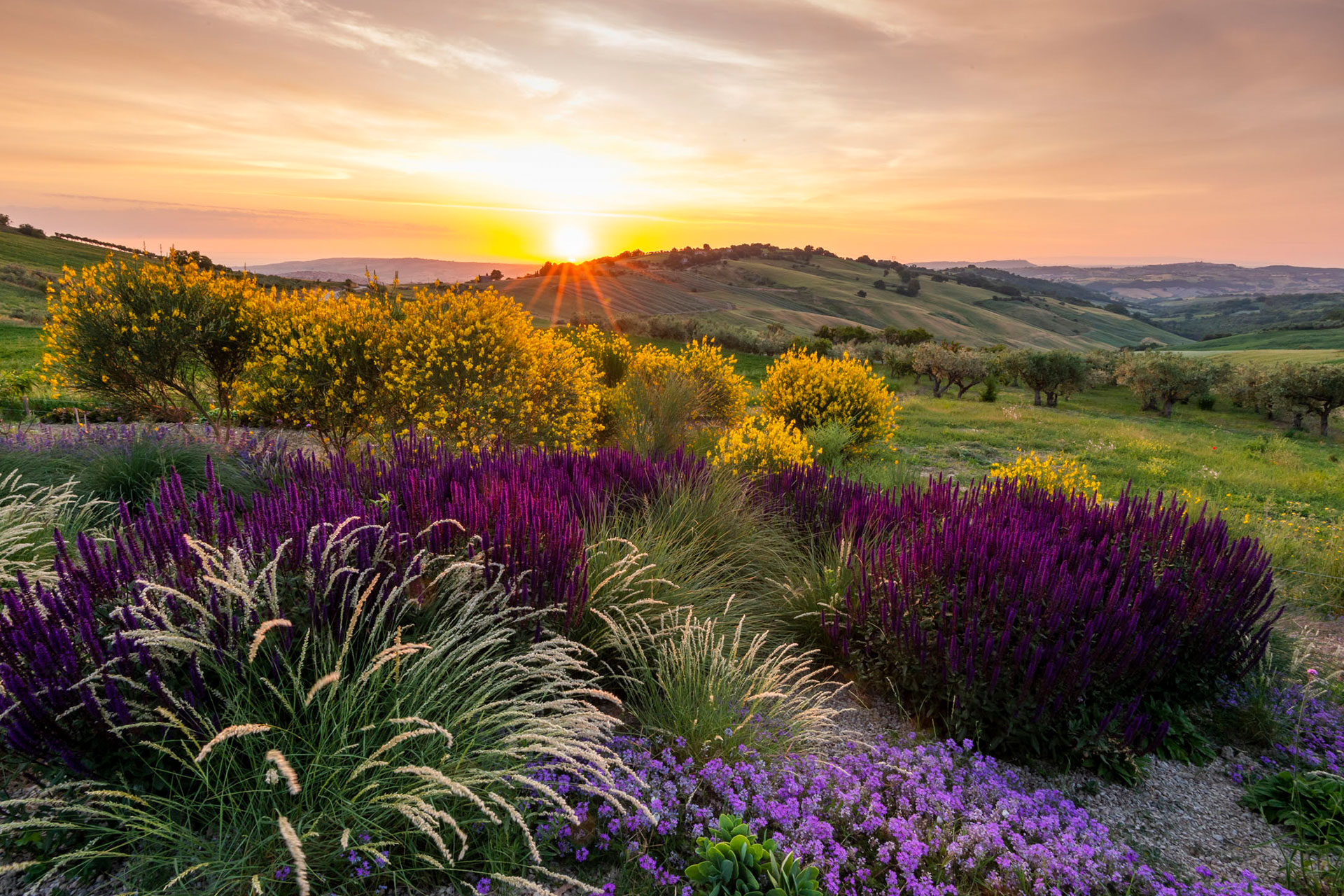 casa-tuja_house_molise-italy_exterior-sunset.jpg