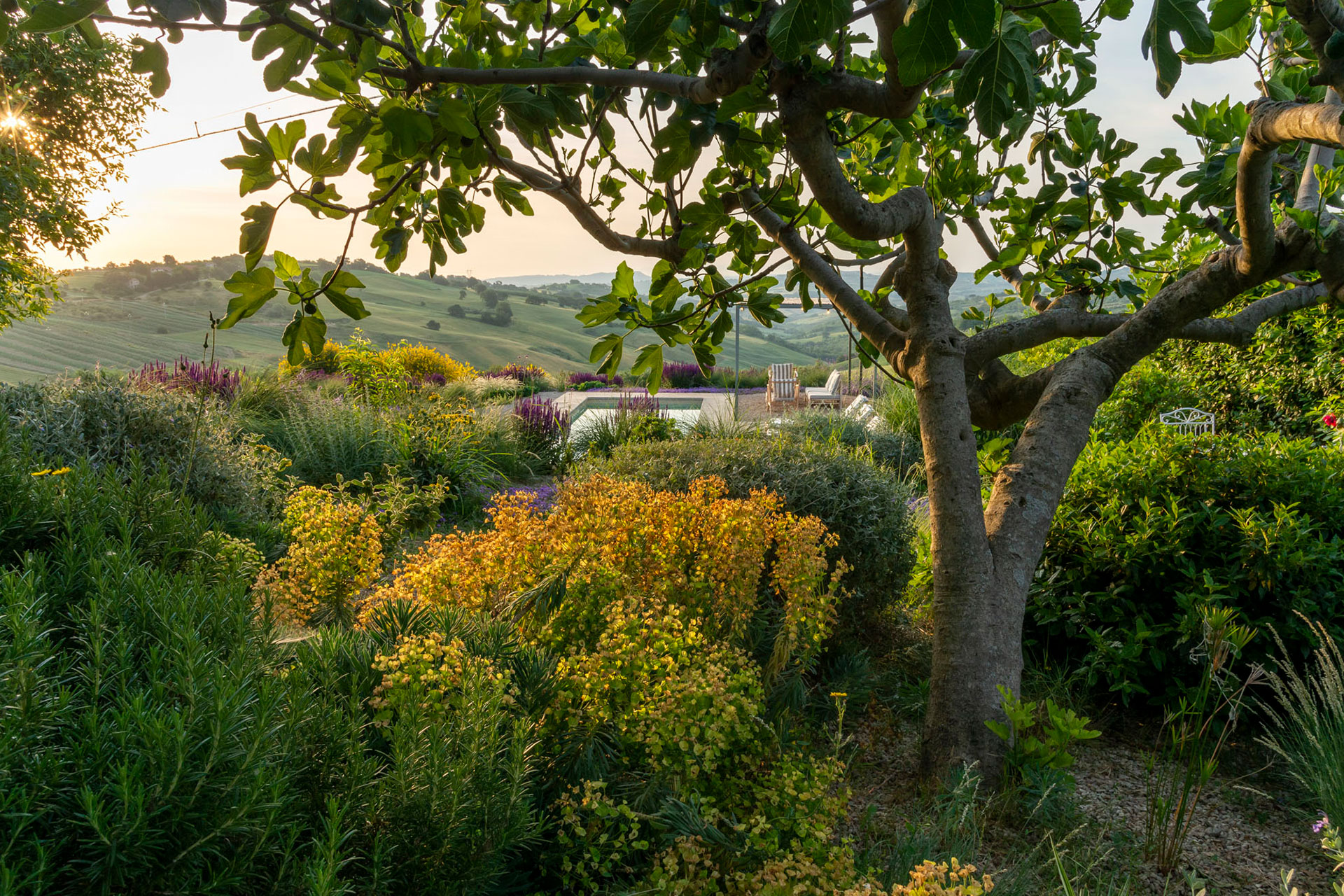 casa-tuja_house_molise-italy_exterior-view.jpg