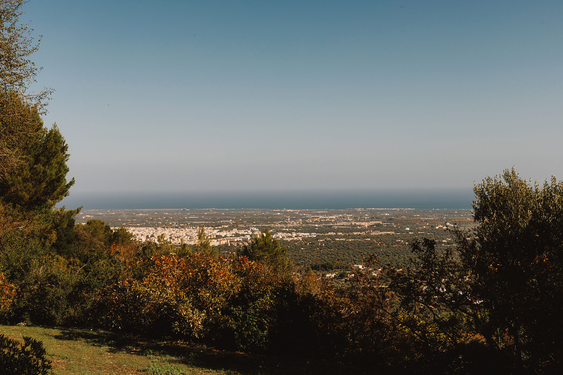 fasano-trullo_trullo_puglia-italy_exterior-view-town.jpg