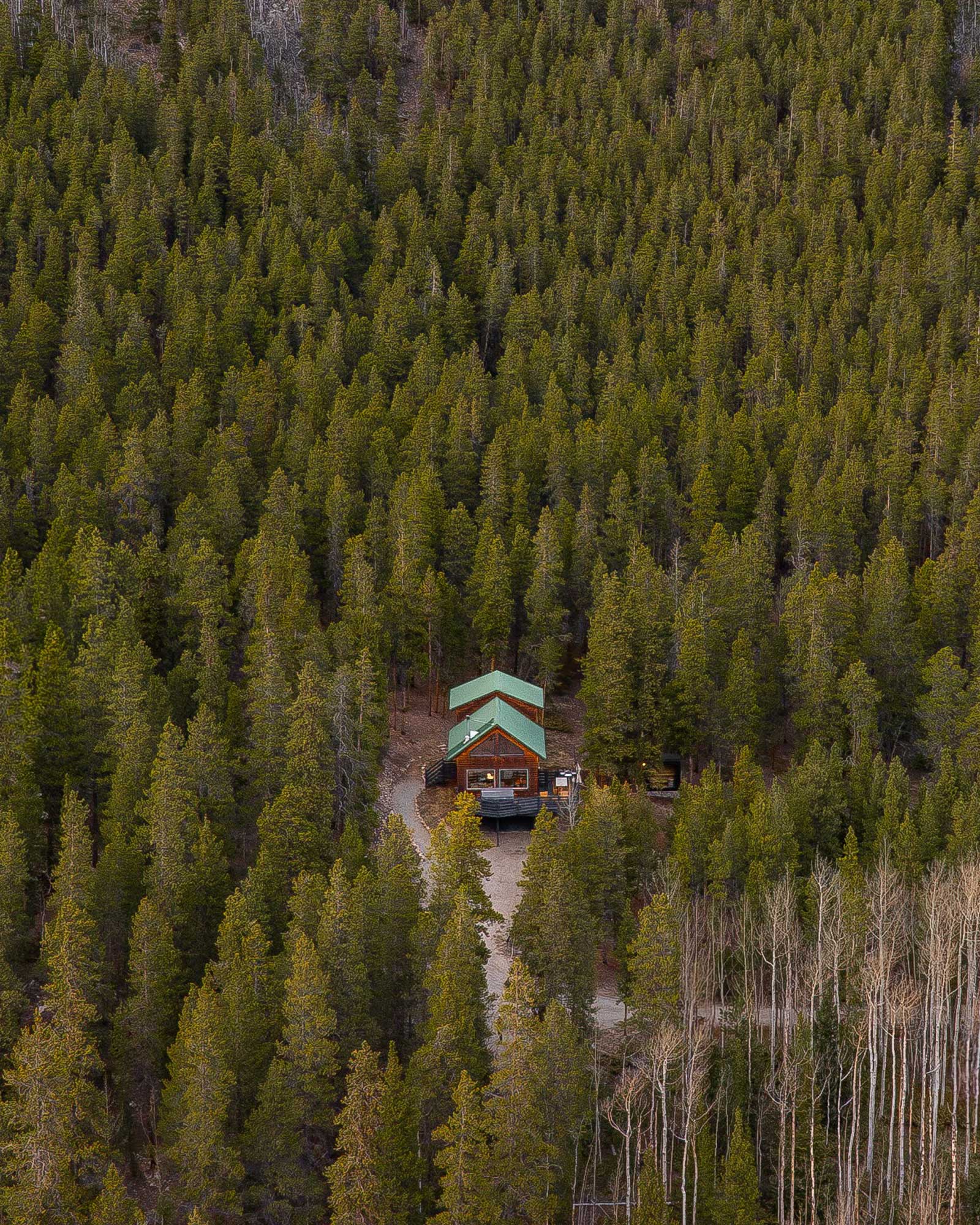 alpenglow-cabin_cabin_colorado-us_exterior-pine.jpg