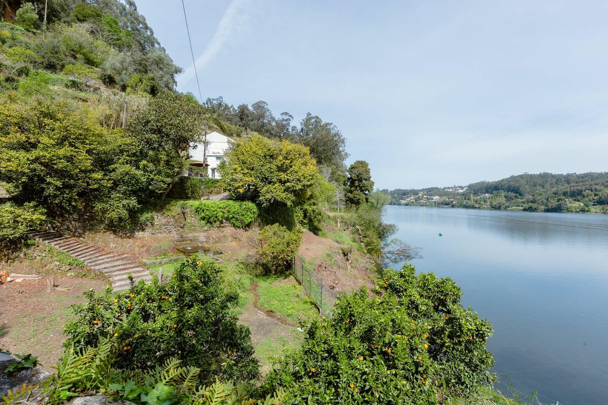 154a916af06897613d5a160de81a8caa3d0c6f3b.jpg