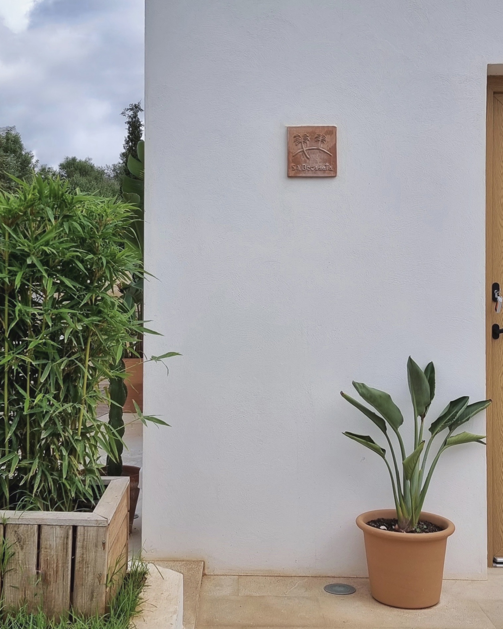 eco-finca-sa-becadeta_cottage_Balearic-Islands-spain_exterior-plant.jpg