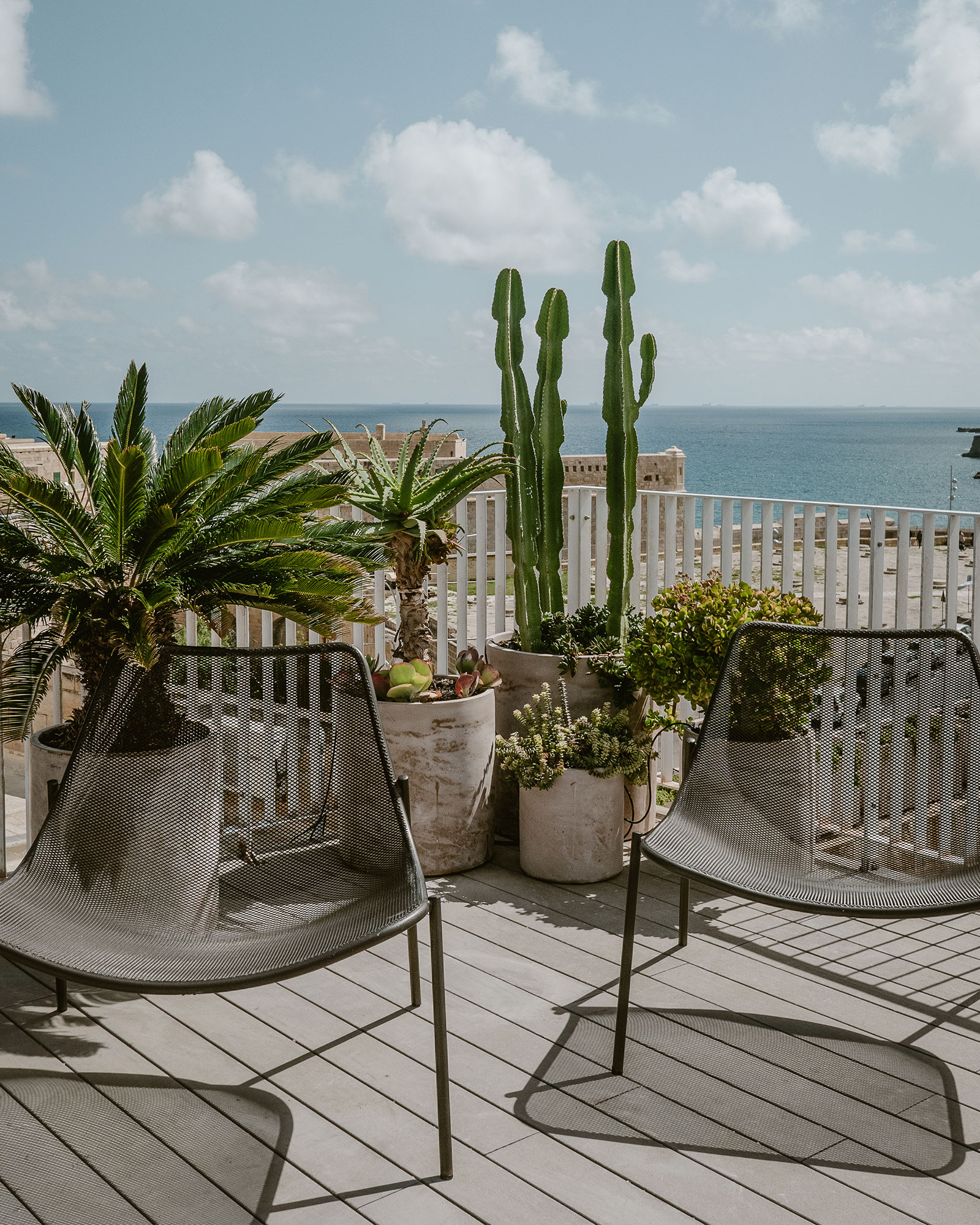 design-studio_studio_Valletta-malta_exterior-cacti.jpg