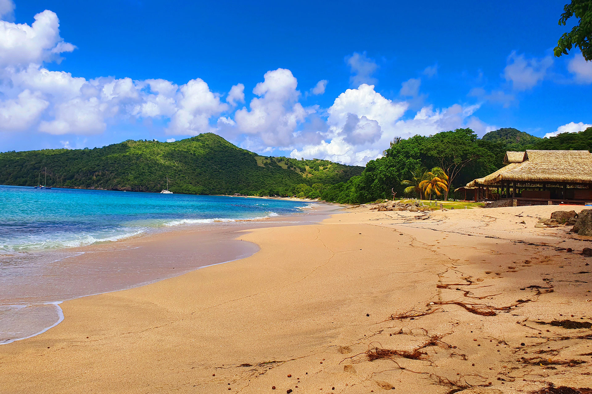 tenuta-chatham-bay_palapa_Union-Island-Saint-Vincent_exterior-beach.jpg