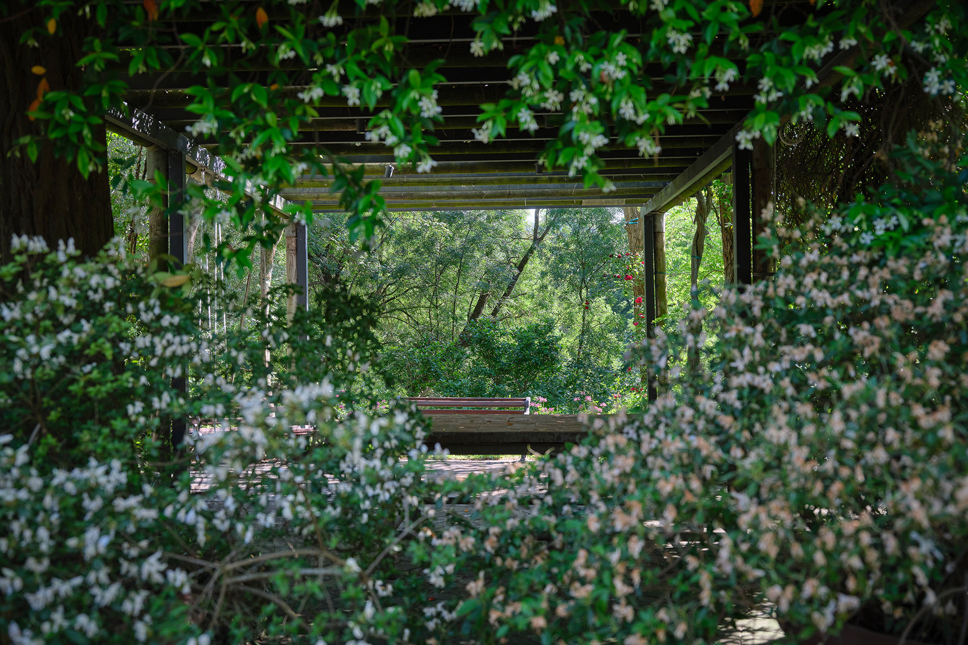 ospedaletto-57_estate_Emilia-Romagna-italy_exterior-garden.jpg
