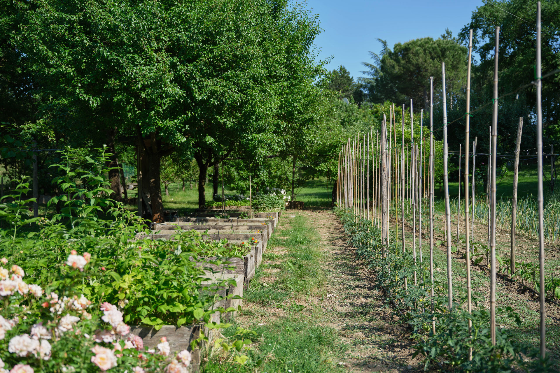 ospedaletto-57_estate_Emilia-Romagna-italy_exterior-gardens.jpg
