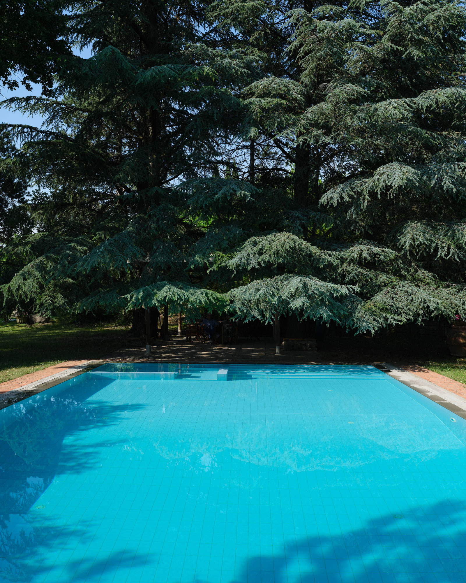 ospedaletto-57_estate_Emilia-Romagna-italy_exterior-pool-detail.jpg