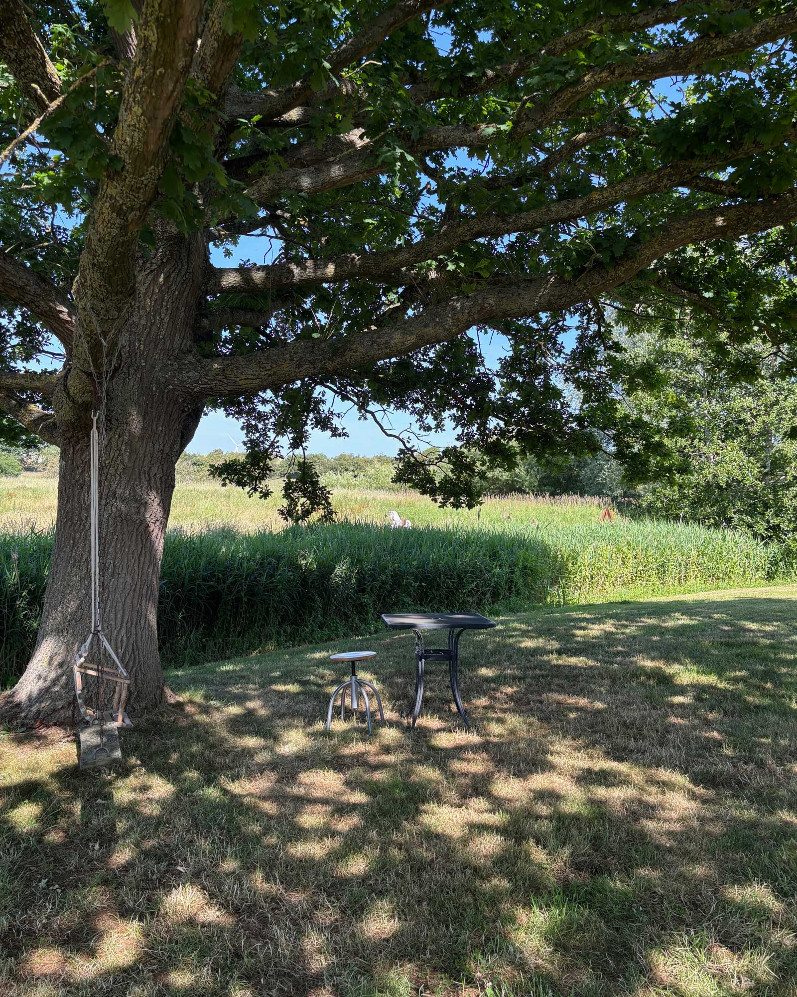 priory-grounds_estate_suffolk-england-uk_exterior-tree.jpg