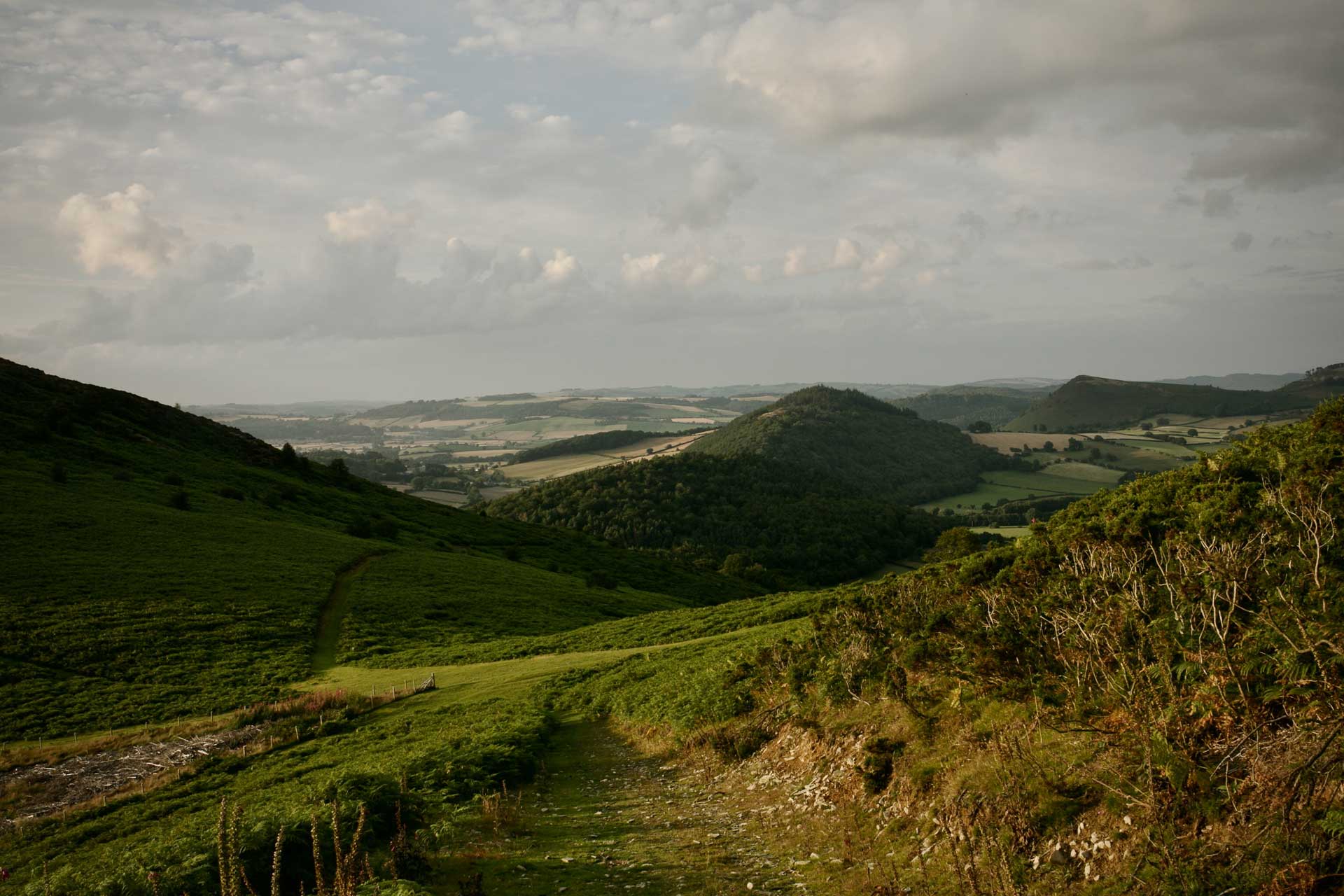 hergest-lee_cabin_wales-united-kingdom_exterior.jpg