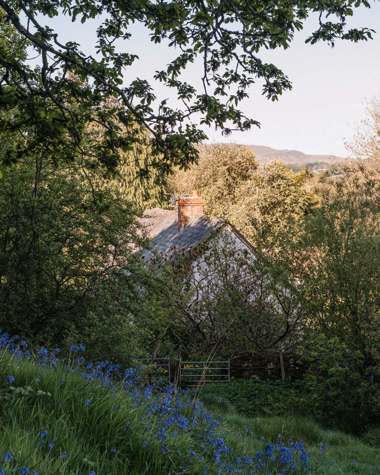 hergest-lee_cabin_wales-united-kingdom_exterior-cabin.jpg