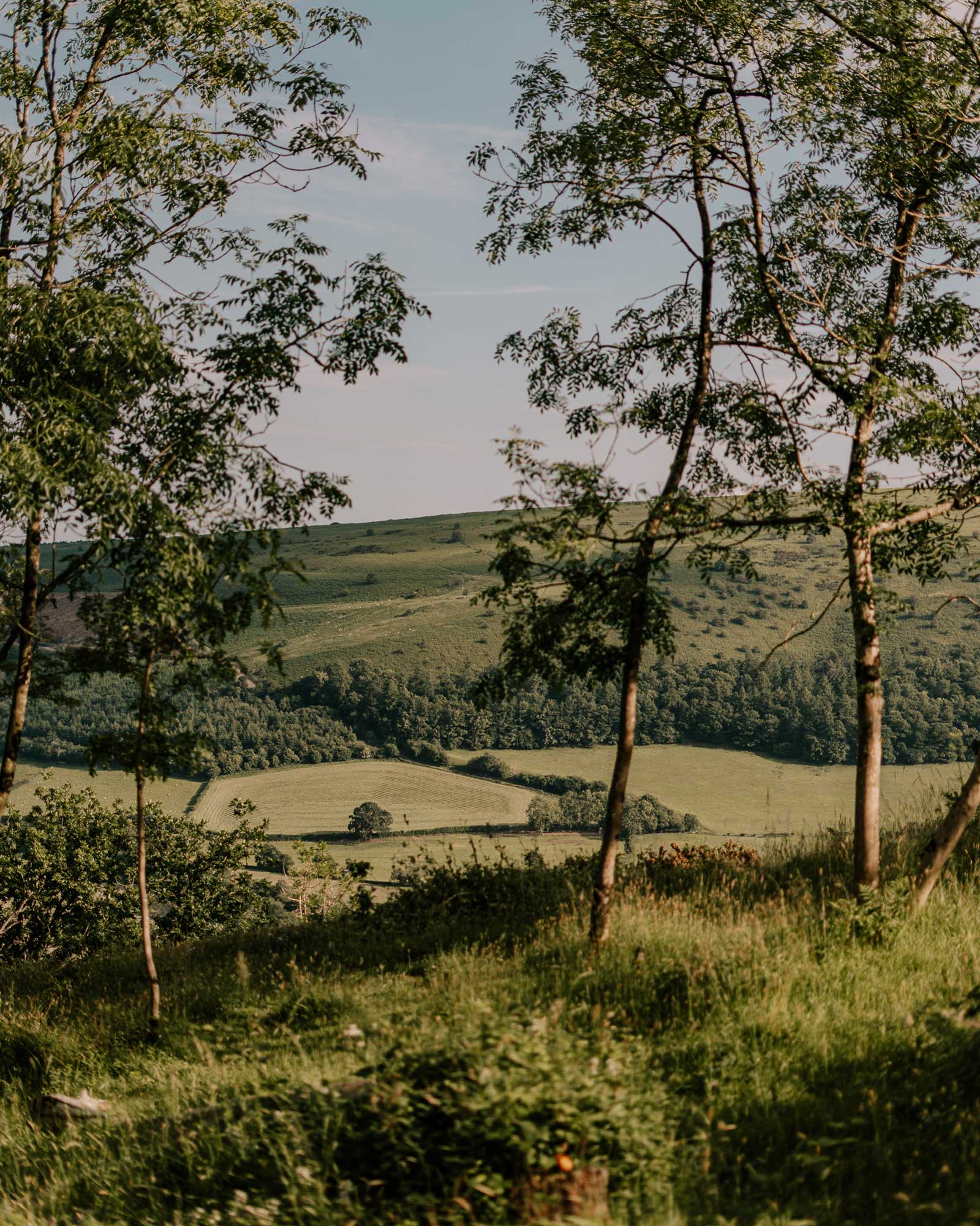 hergest-lee_cabin_wales-united-kingdom_exterior-view.jpg