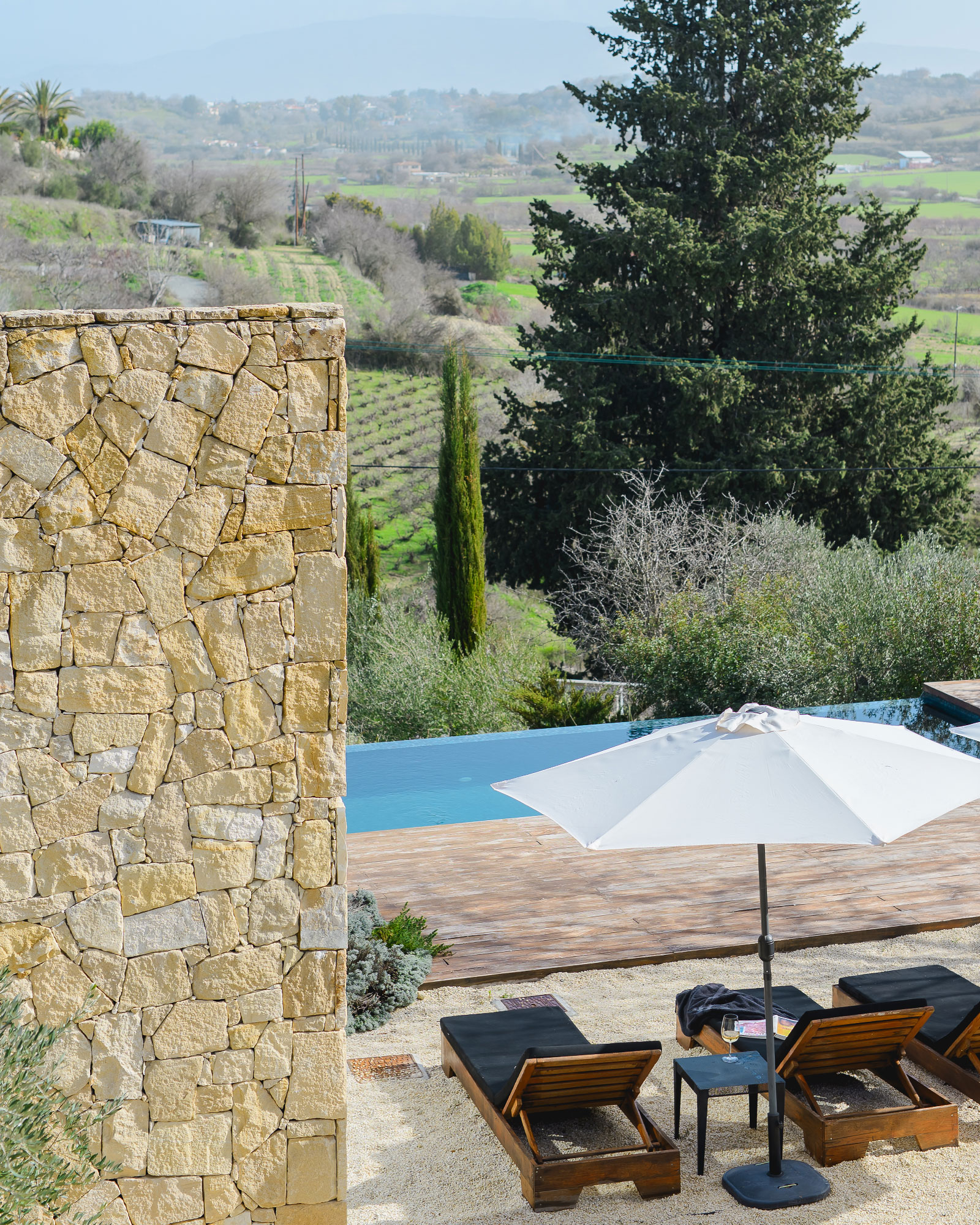 the-aiora-concept_villa_Paphos-cyprus_exterior-view-pool.jpg