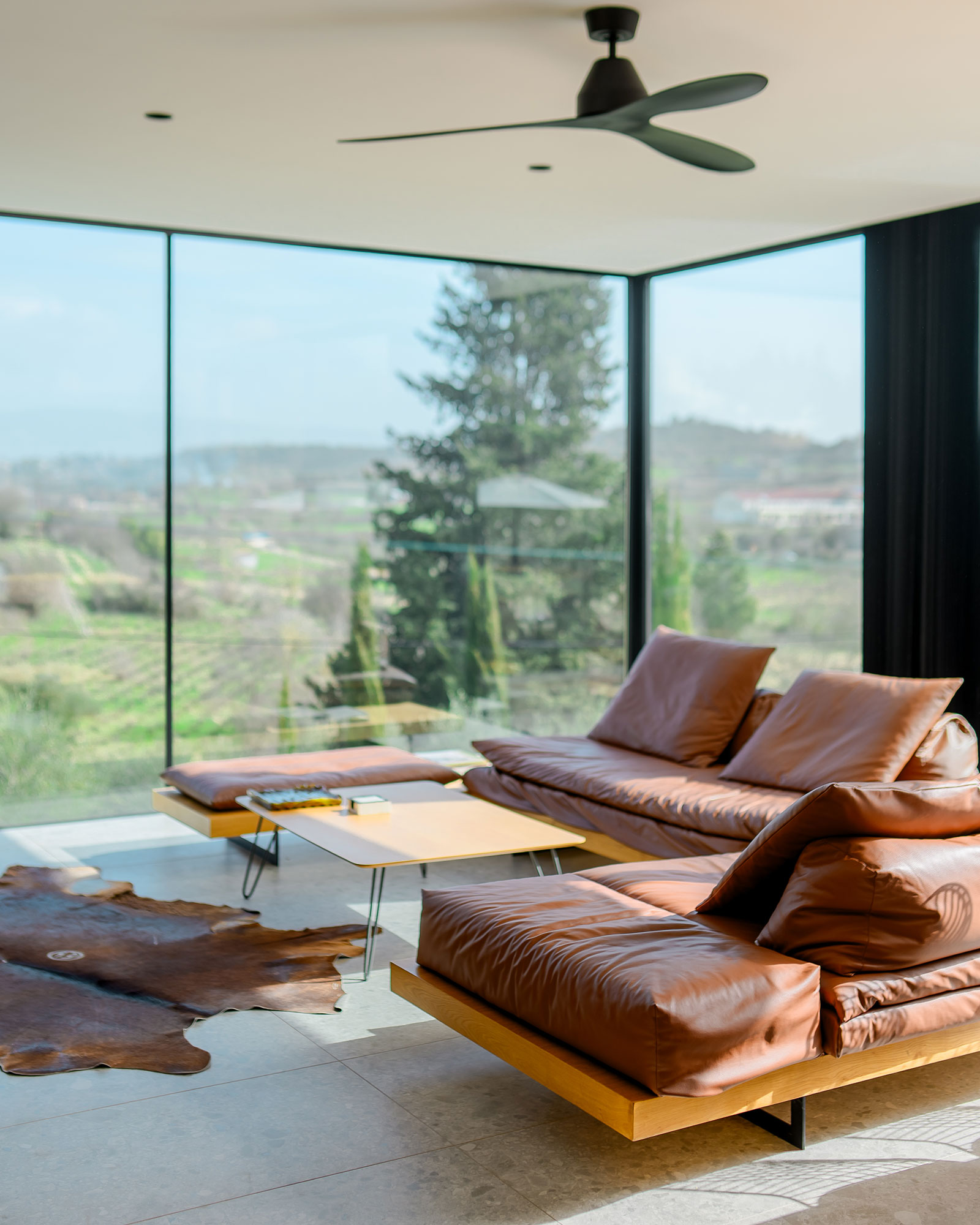 the-aiora-concept_villa_Paphos-cyprus_interior-space-sofa.jpg
