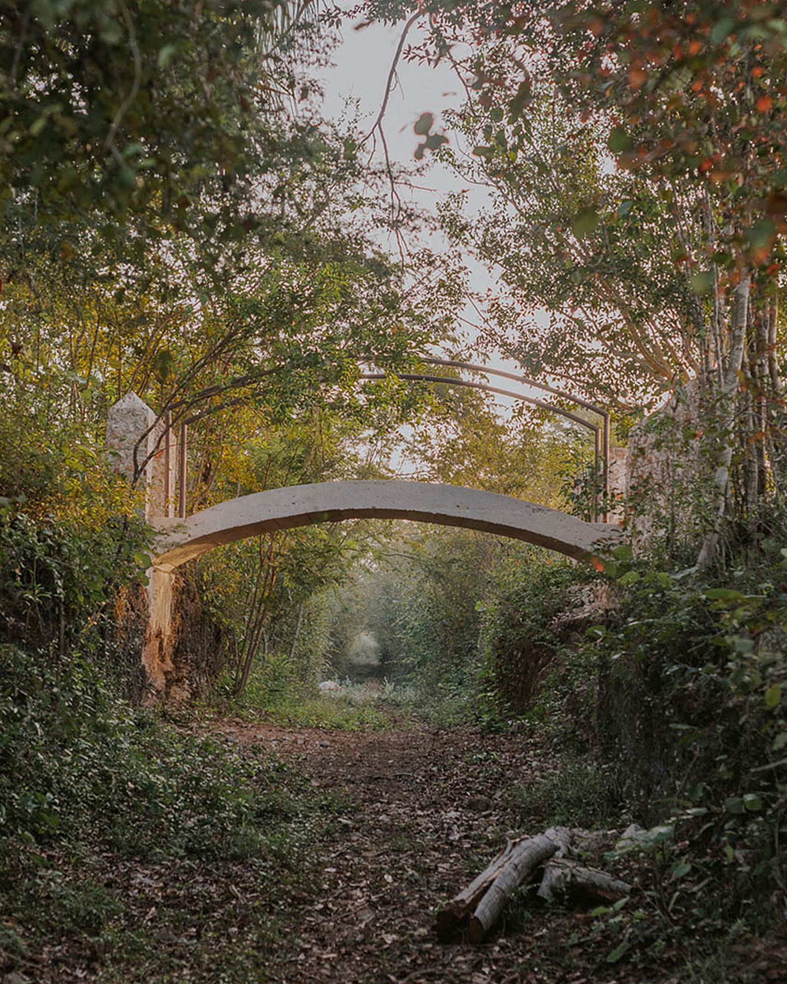 galopina-casa-silvestre_villa_yucatan-mexico_exterior-bridge.jpg