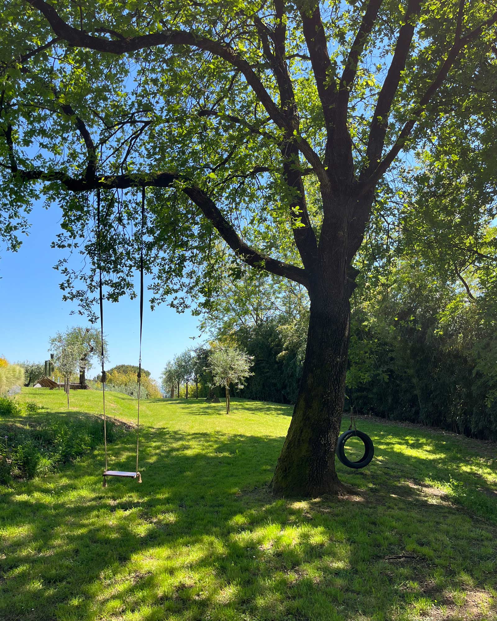 villa-carnicelli_estate_tuscany-italy_exterior-swing.jpg