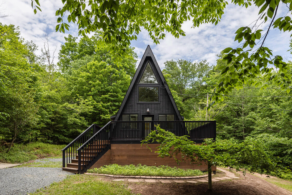 night-fox-a-frame