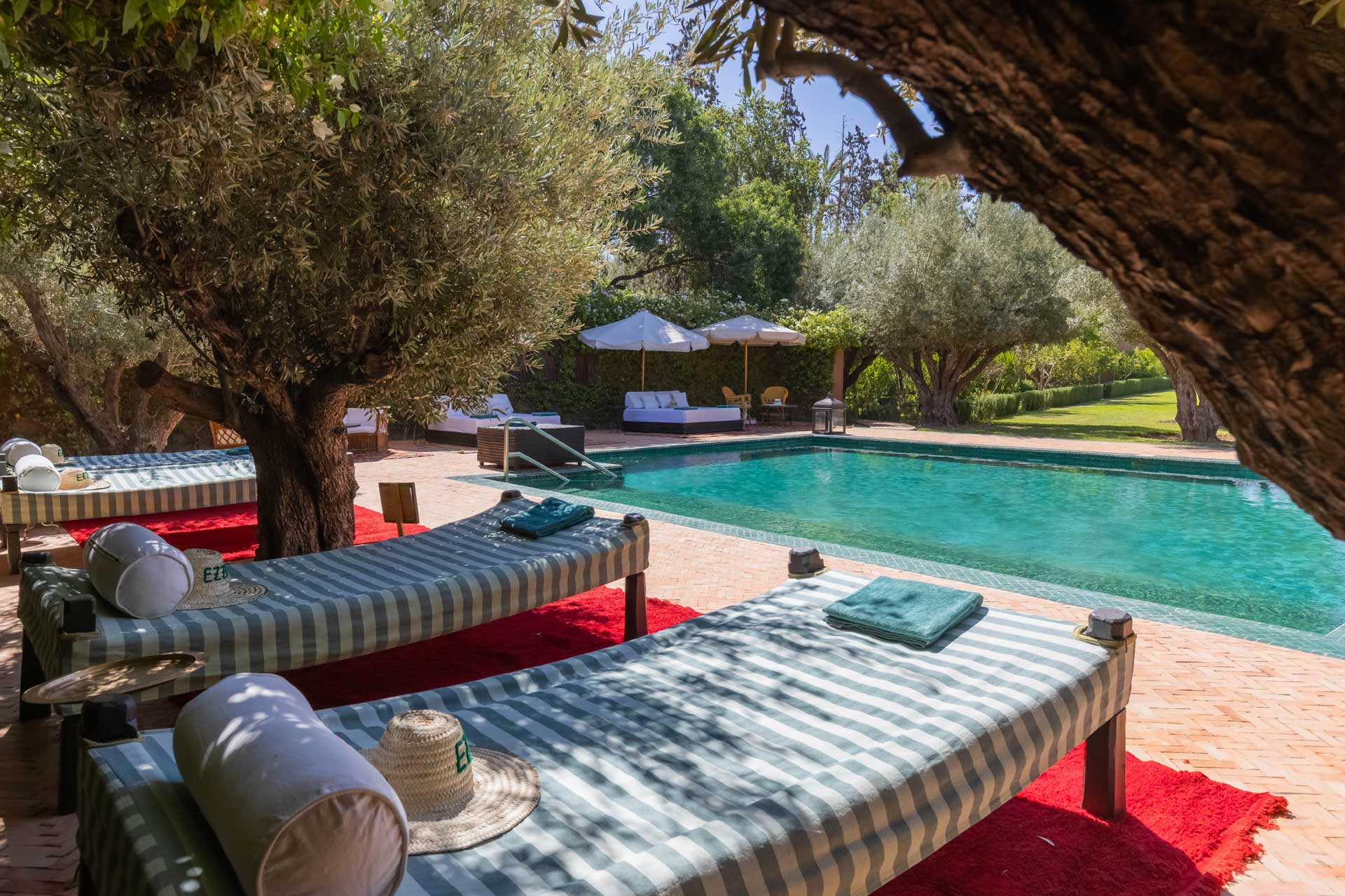 ezzahra_estate_marrakech-morocco_villa-Azzaytouna_exterior-pool-detail.jpg