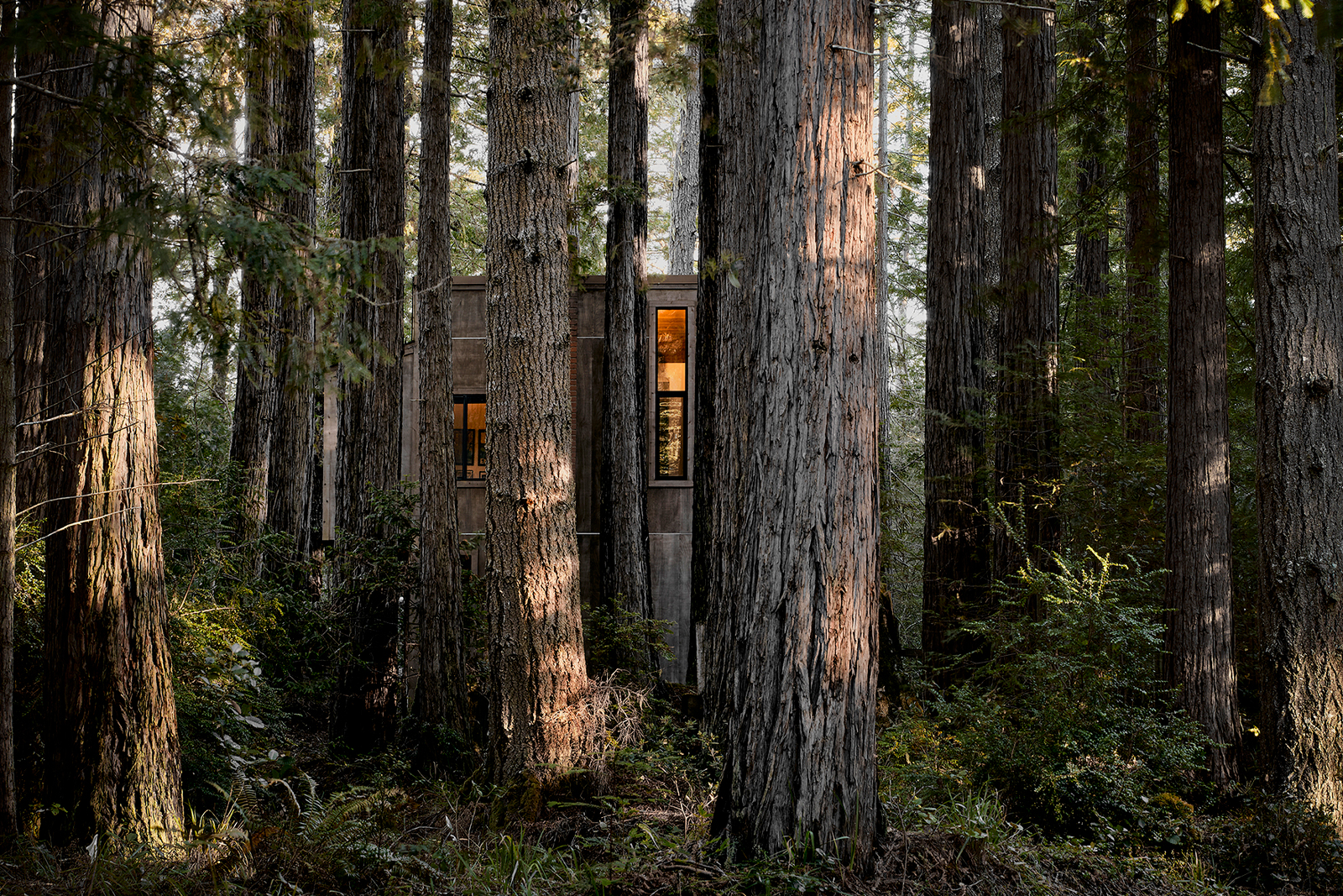 cabin_for_rent_in_California_002.jpg