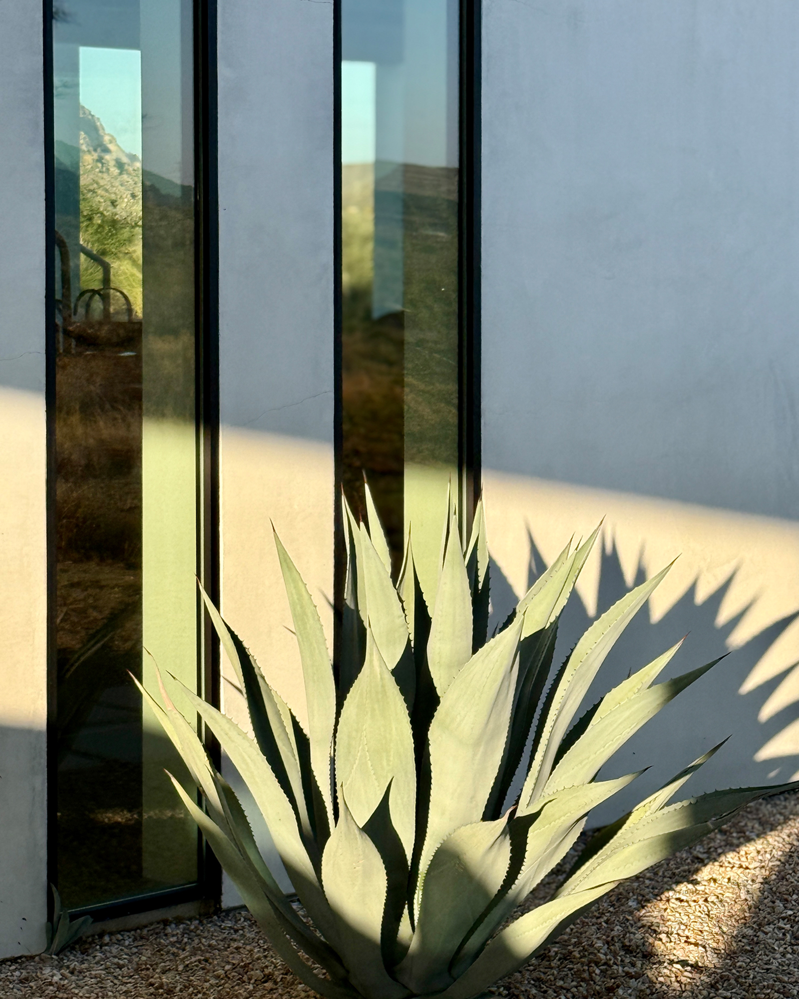 poppy-ranch_house_california-usa_exterior-agave.jpg