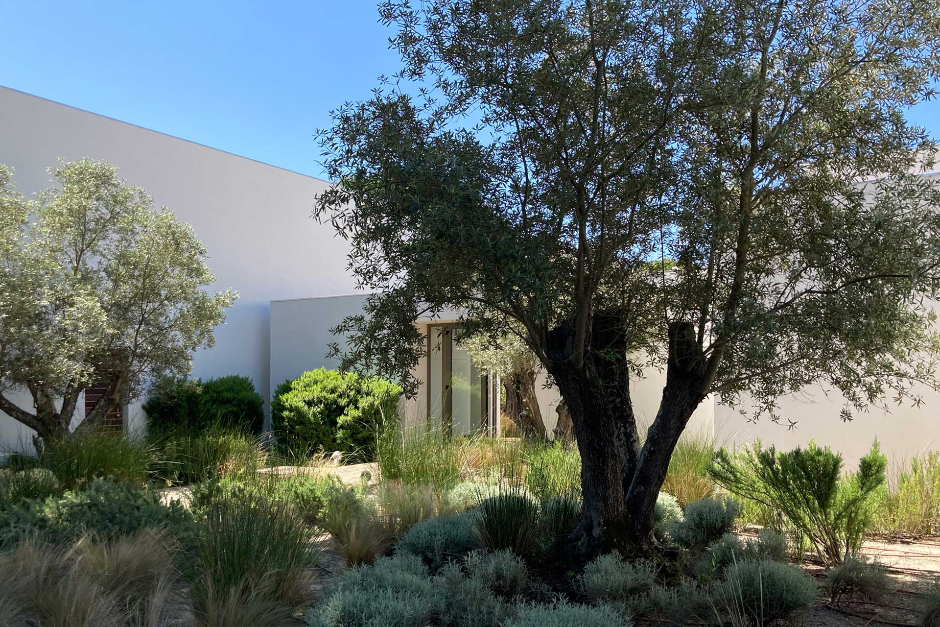 villa-magnolia_villa_comporta-setubal-portugal_exterior-design.jpg