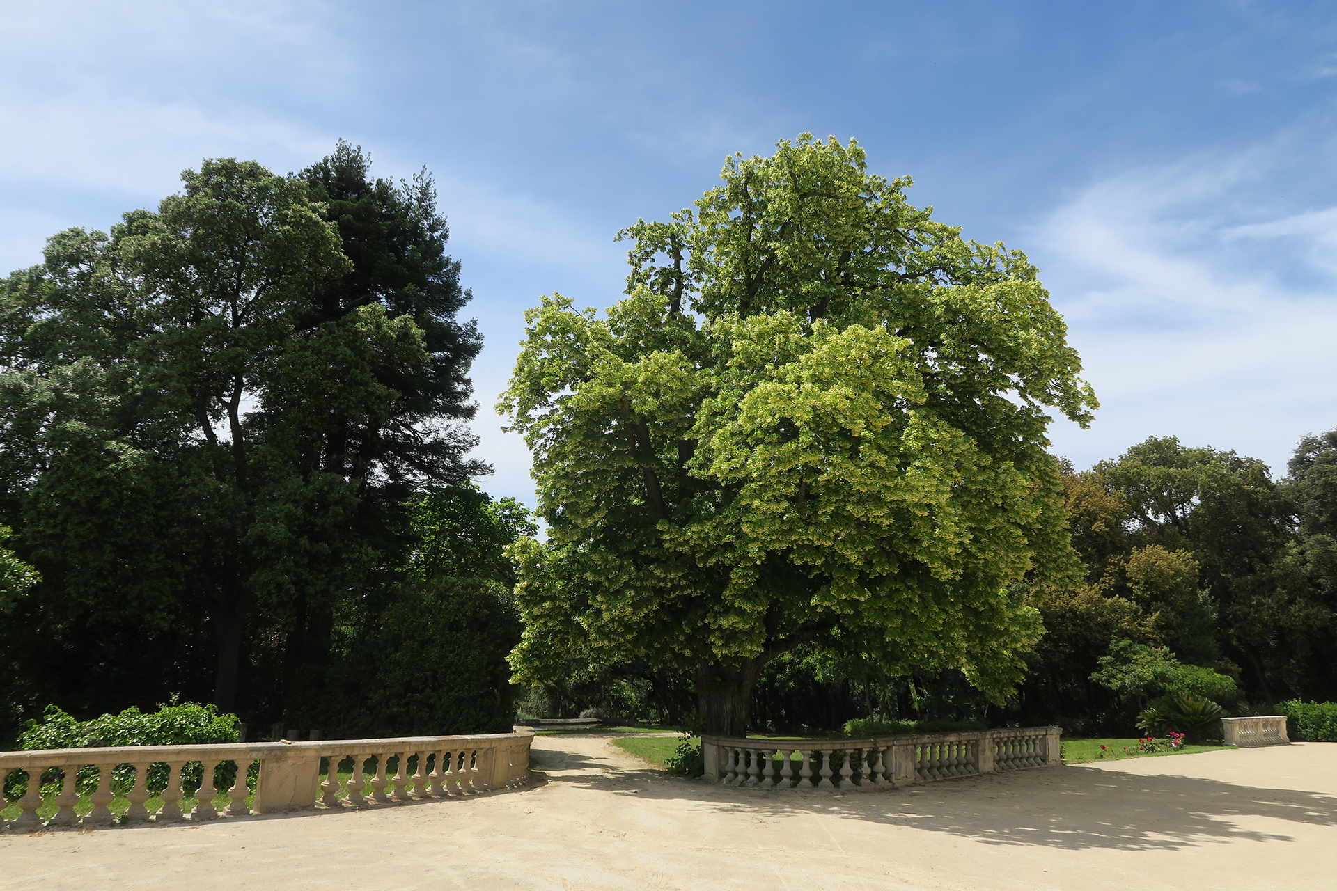 villa-rieucoulon_estate_france_exterior-trees.jpg