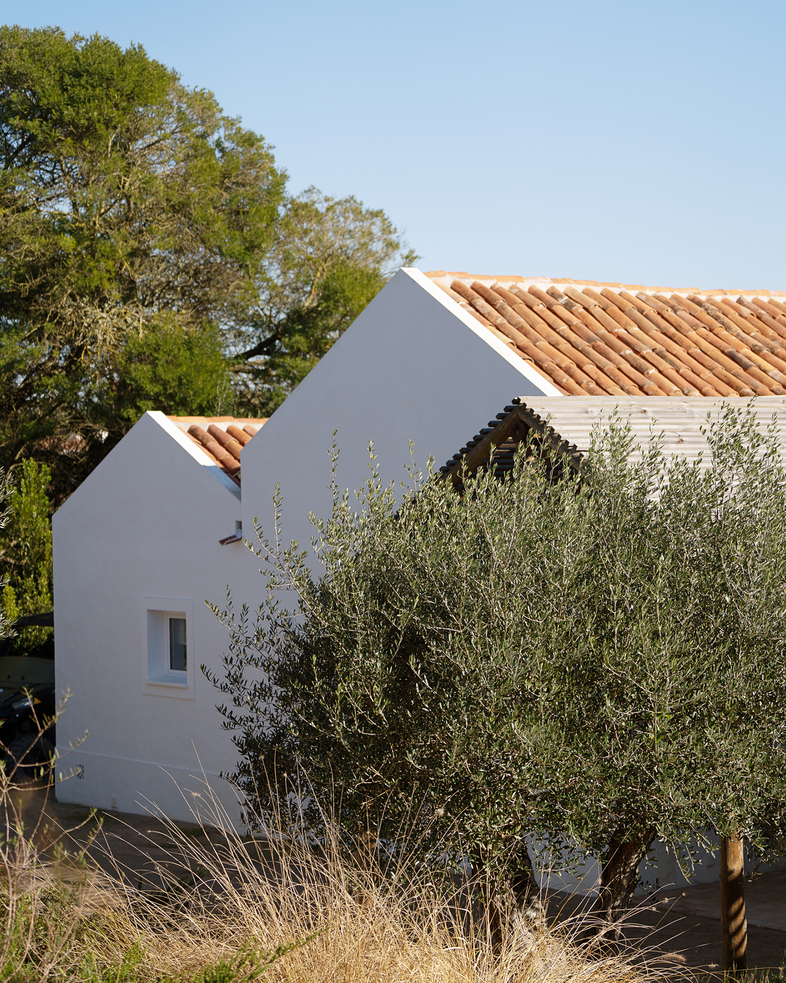 villa-ayina_beachhouse_comporta-setubal-portugal_exterior-facade.jpg