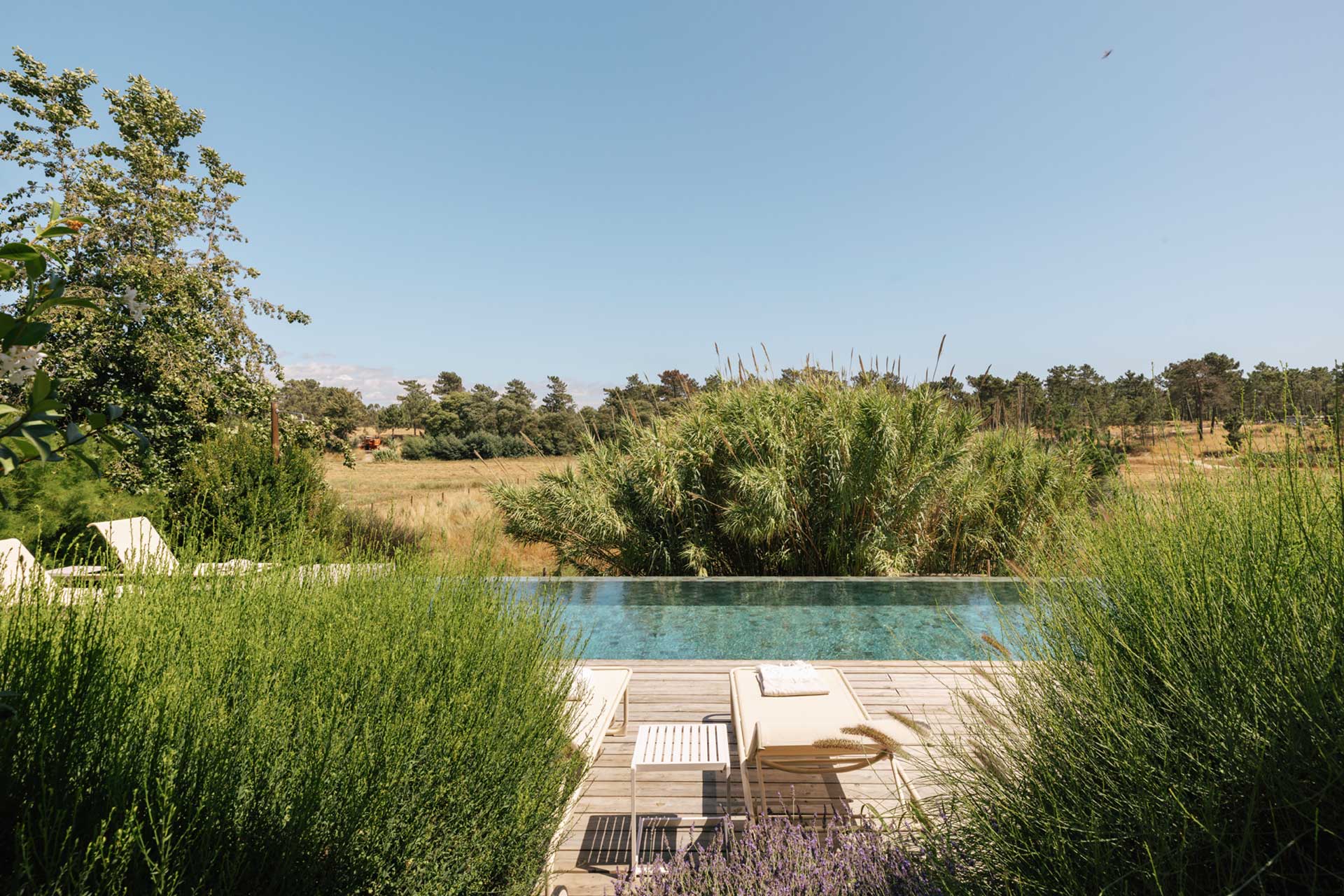 villa-ayina_beachhouse_comporta-setubal-portugal_exterior-pool-view.jpg