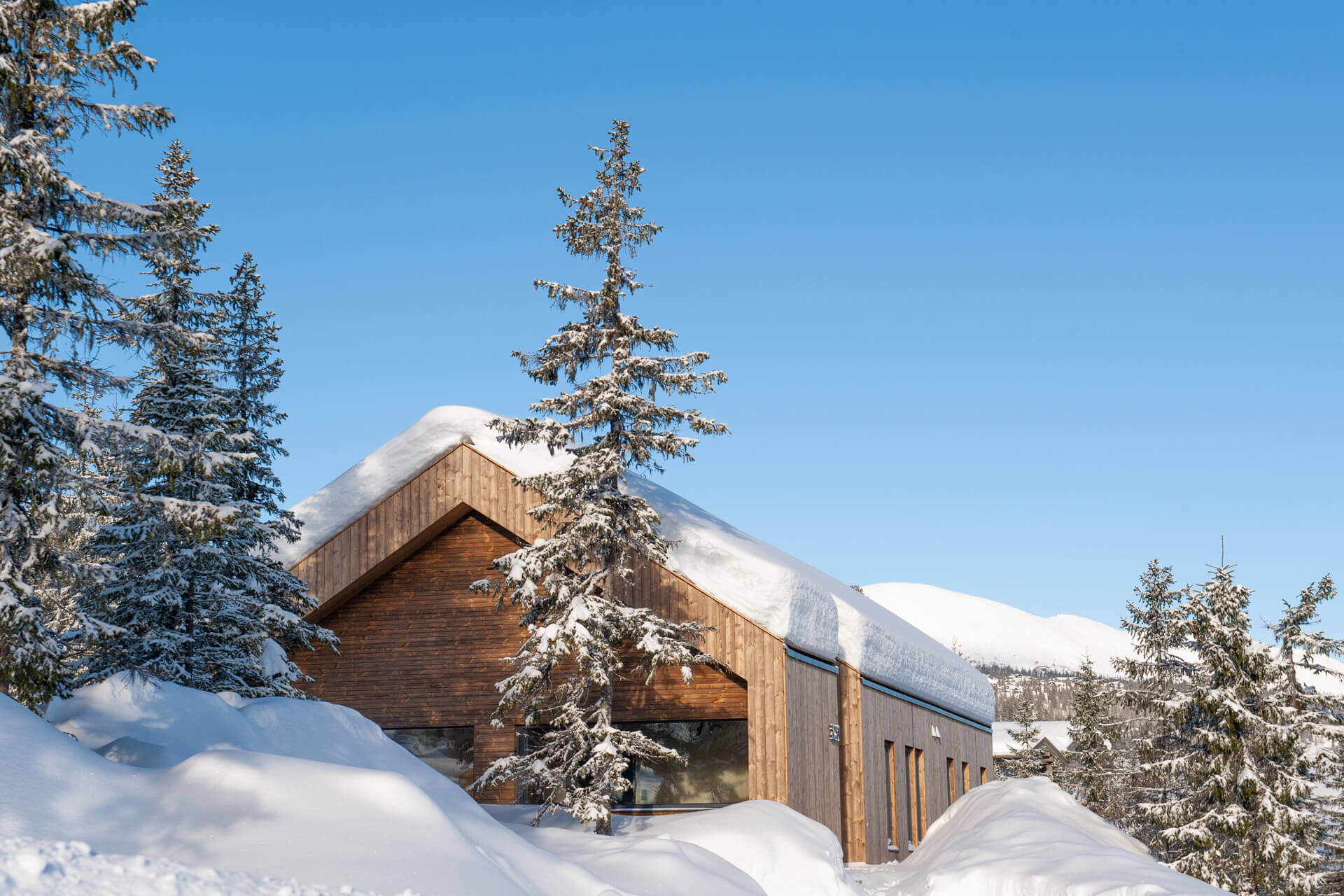 norwegian-wood-cabin
