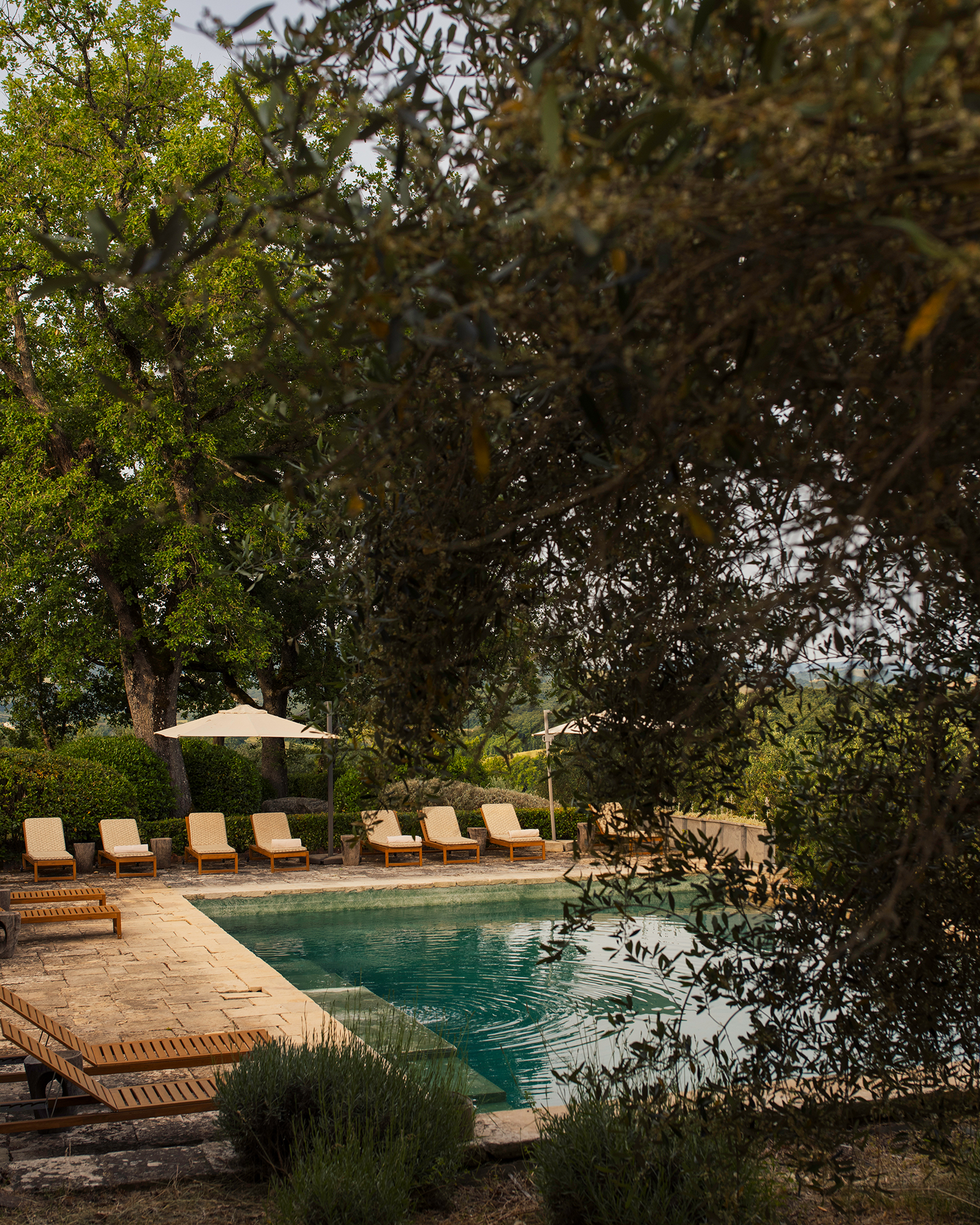 le-porciglia_house_tuscany-italy_exterior-pool-trees.jpg
