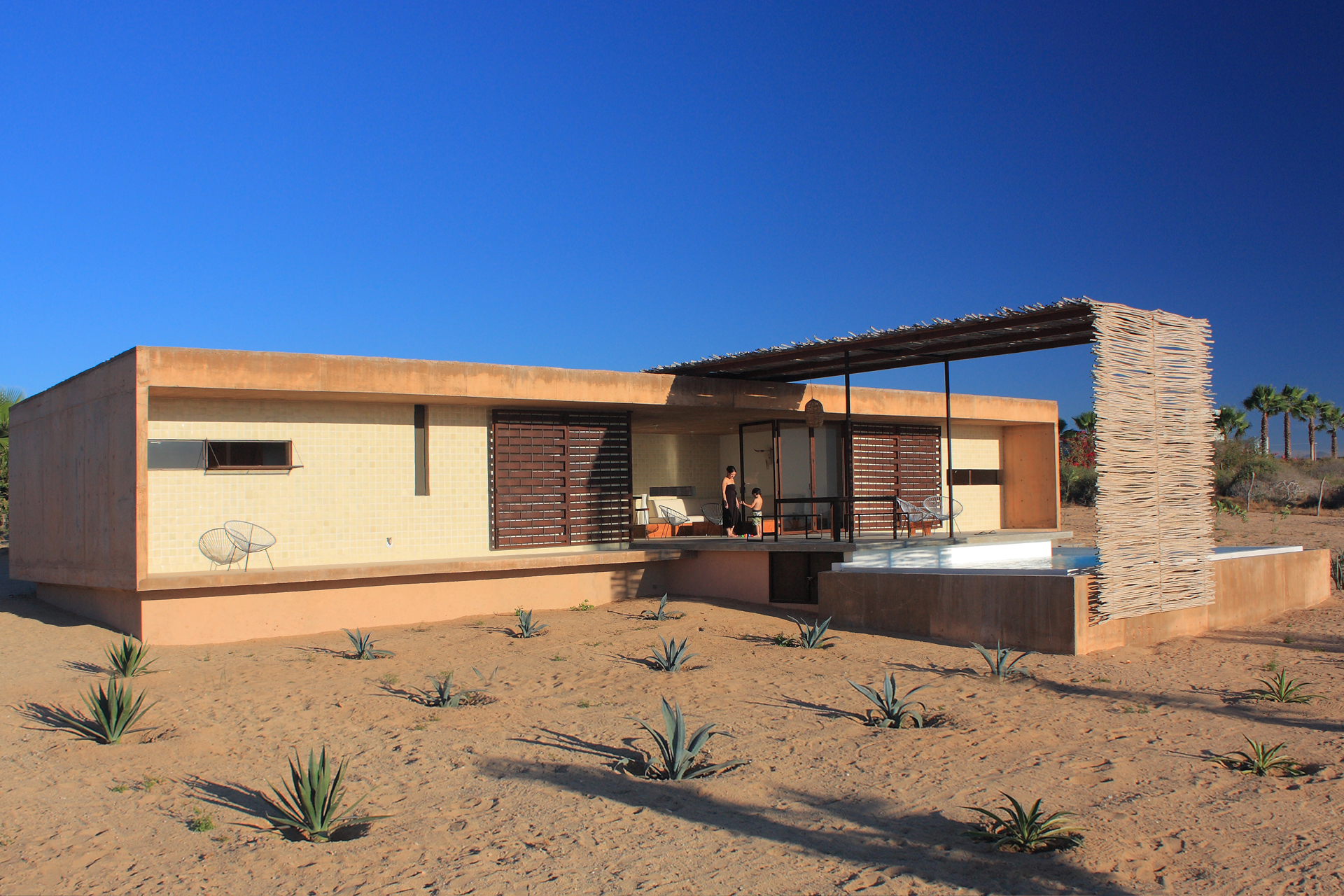 casa-rustika_beach-house_todos-santos-bcs-mexico_exterior-cactus.jpg