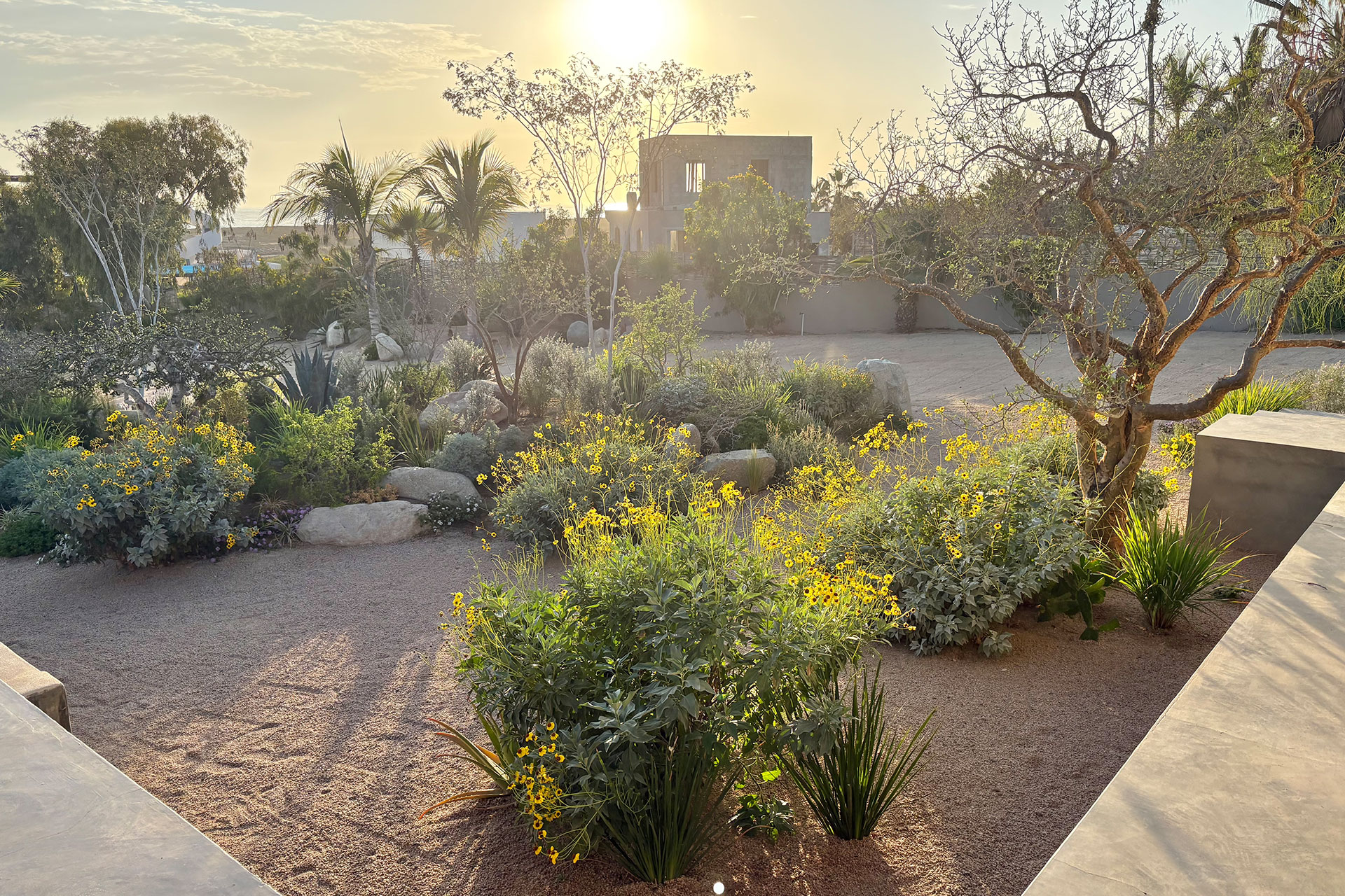 todos-santos-beach-house_beachhouse_baja-california-sur-mexico_exterior-sunset.jpg