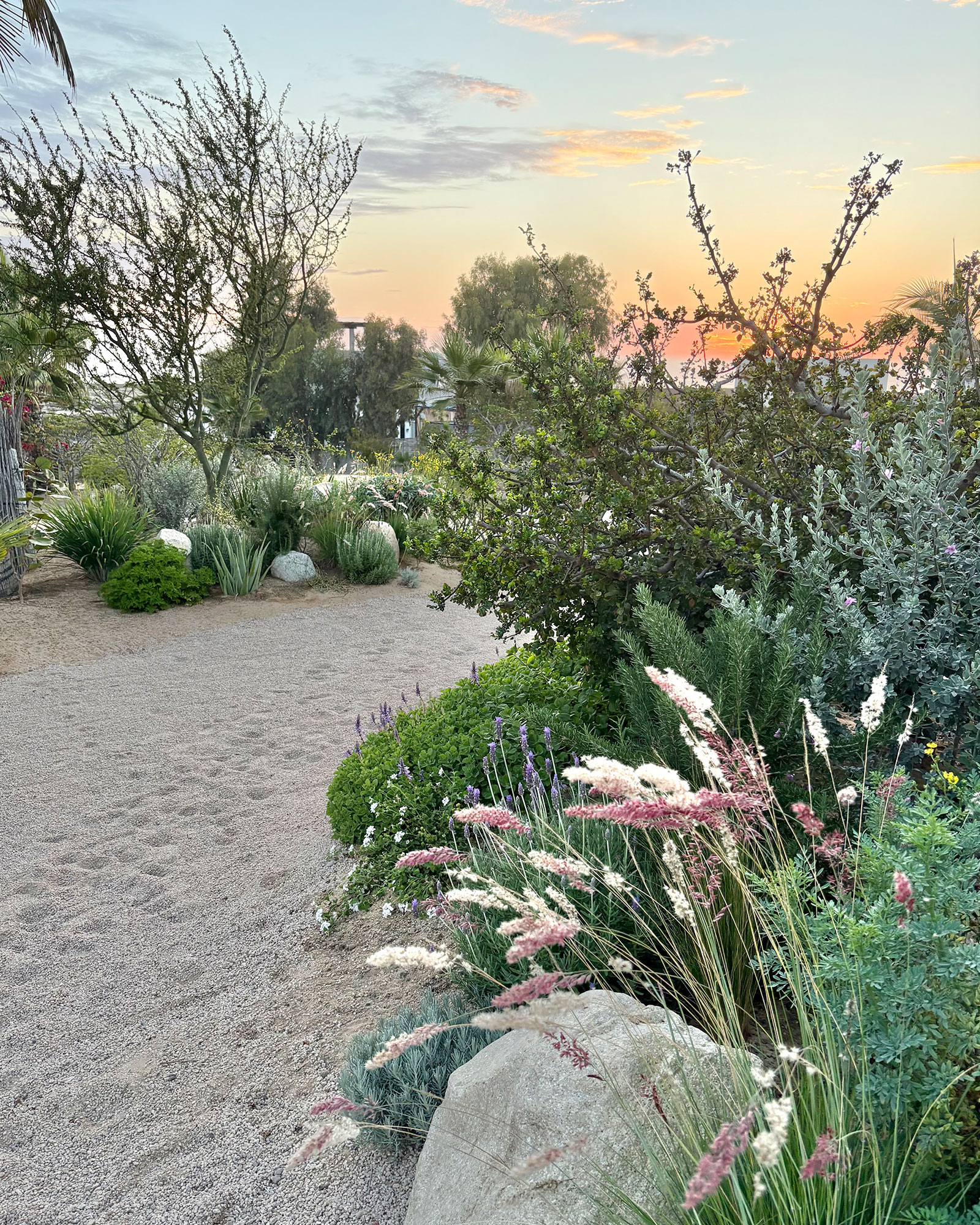 todos-santos-beach-house_beachhouse_baja-california-sur_exterior-sunset.jpg