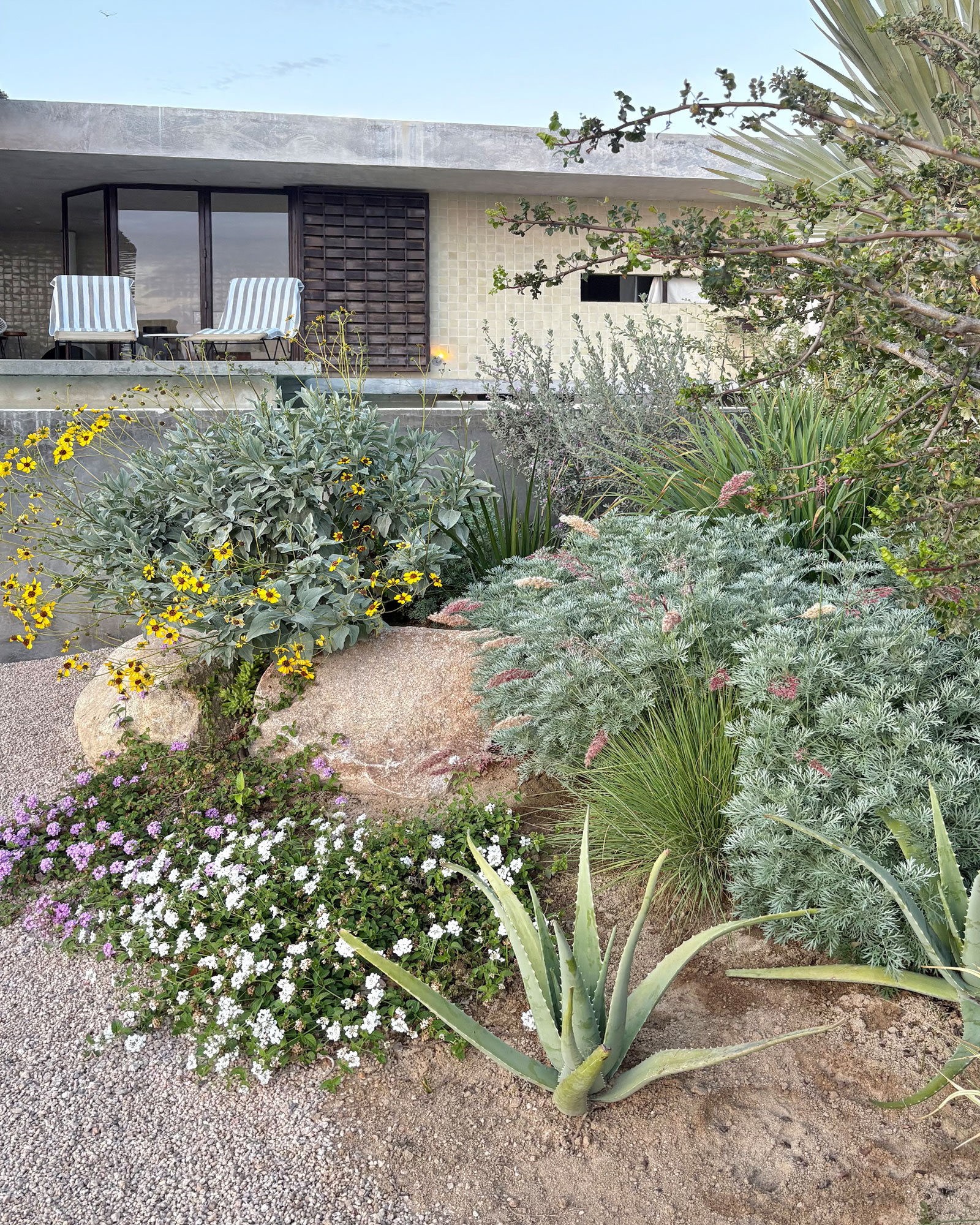 todos-santos-beach-house_beachhouse_baja-california-sur_exterior-terrace.jpg