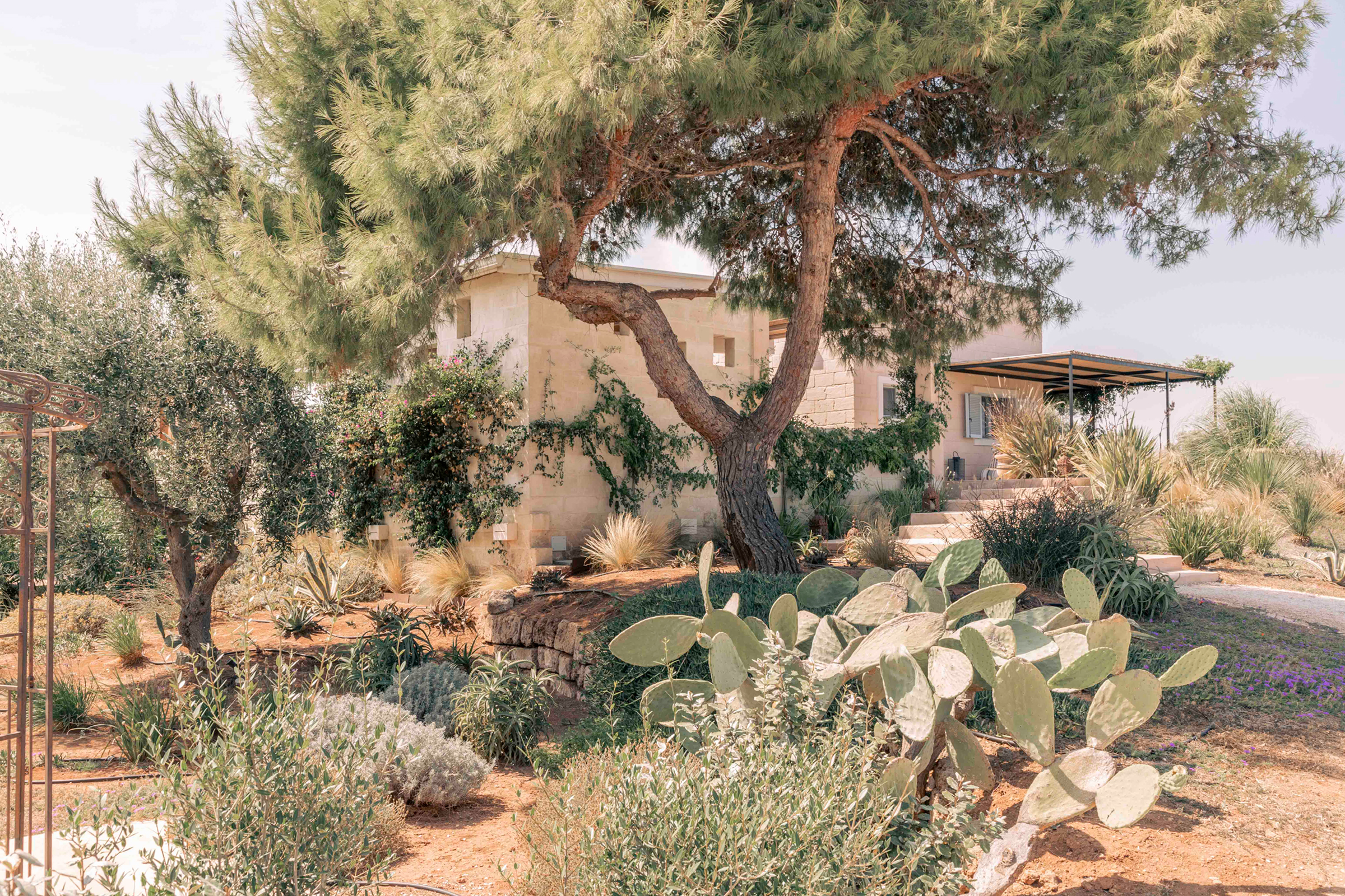 villa-amapulia_ostuni_exterior-plants.jpg