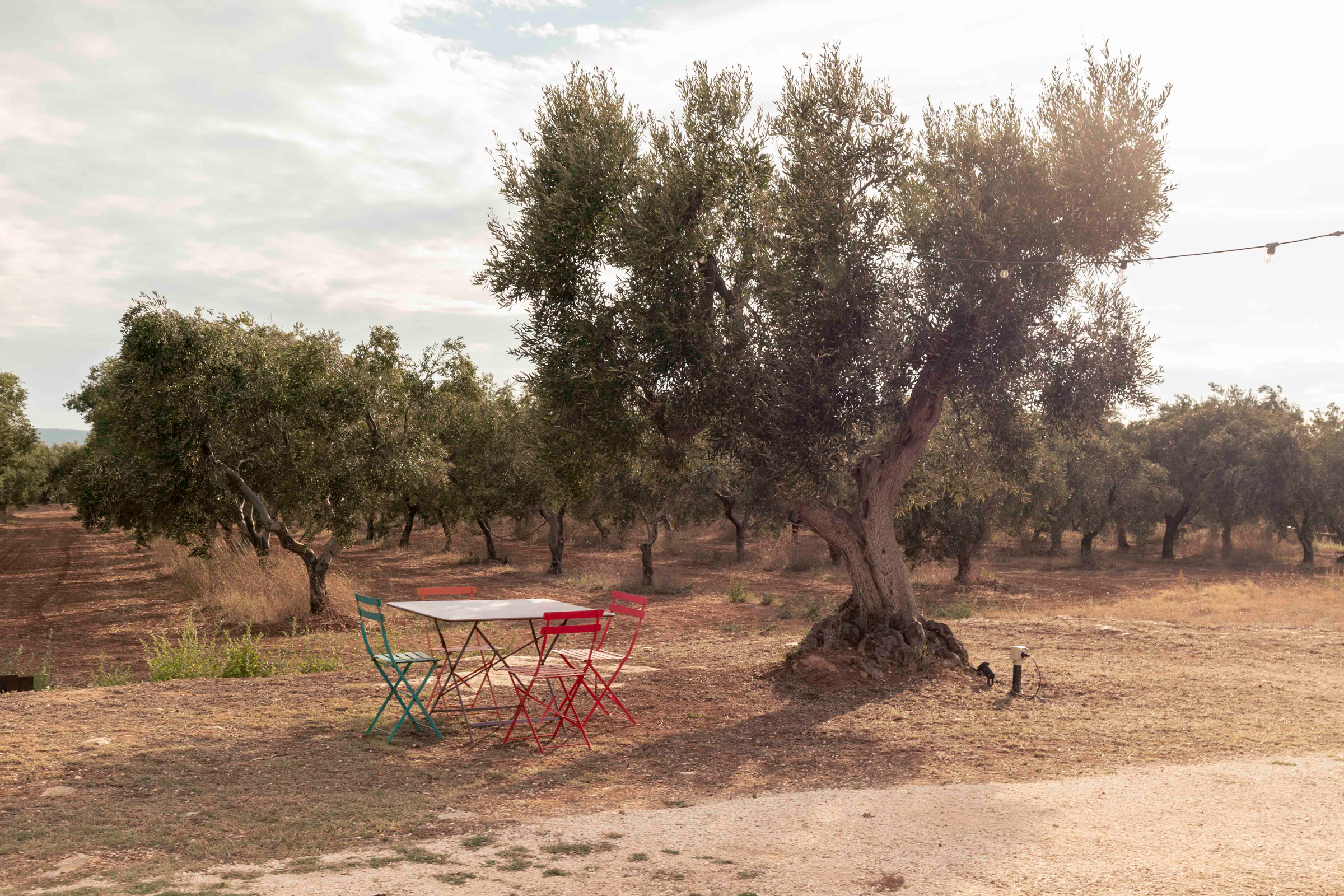 villa-amapulia_ostuni_exterior-table-view.jpg