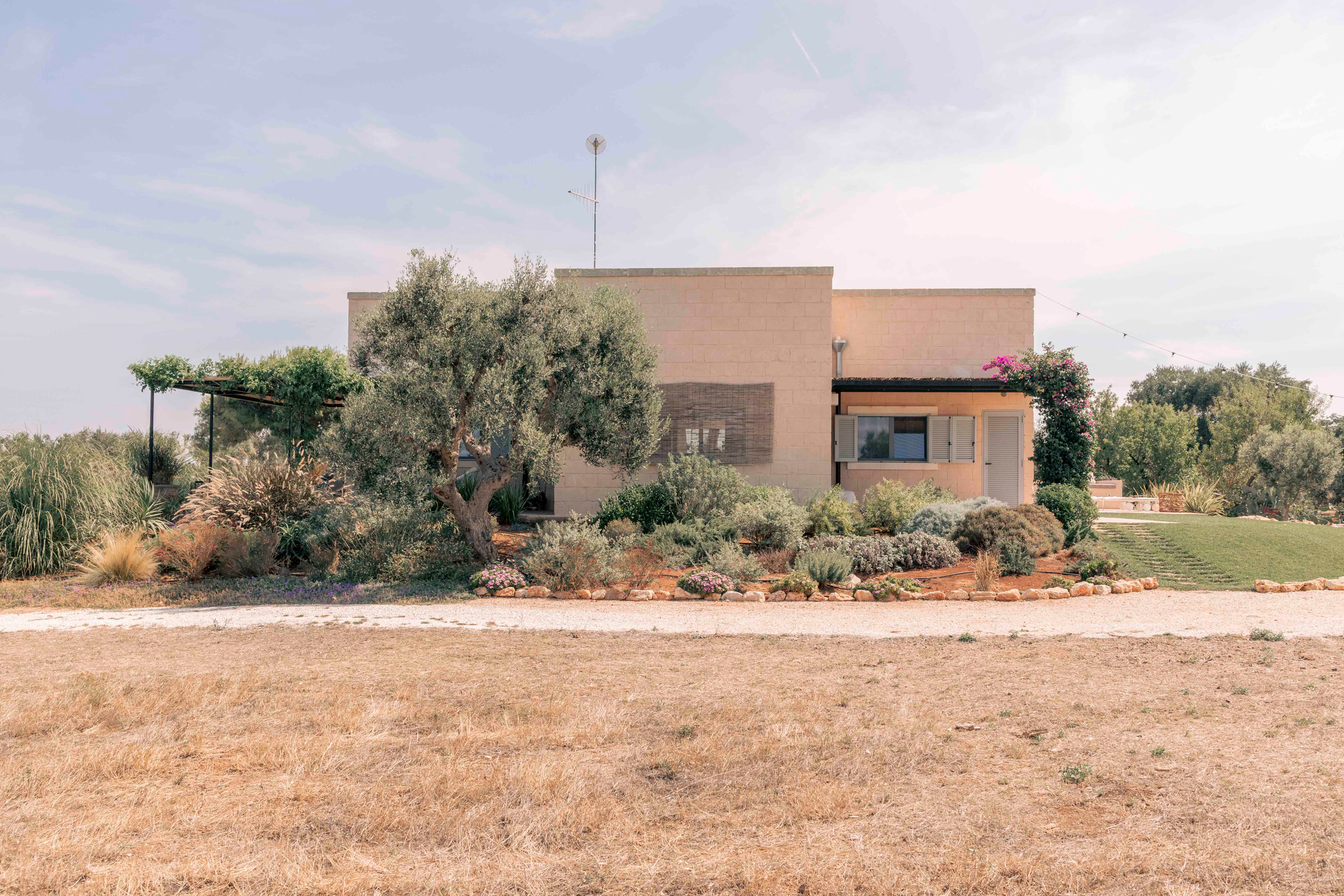 villa-amapulia_ostuni_exterior-trees.jpg